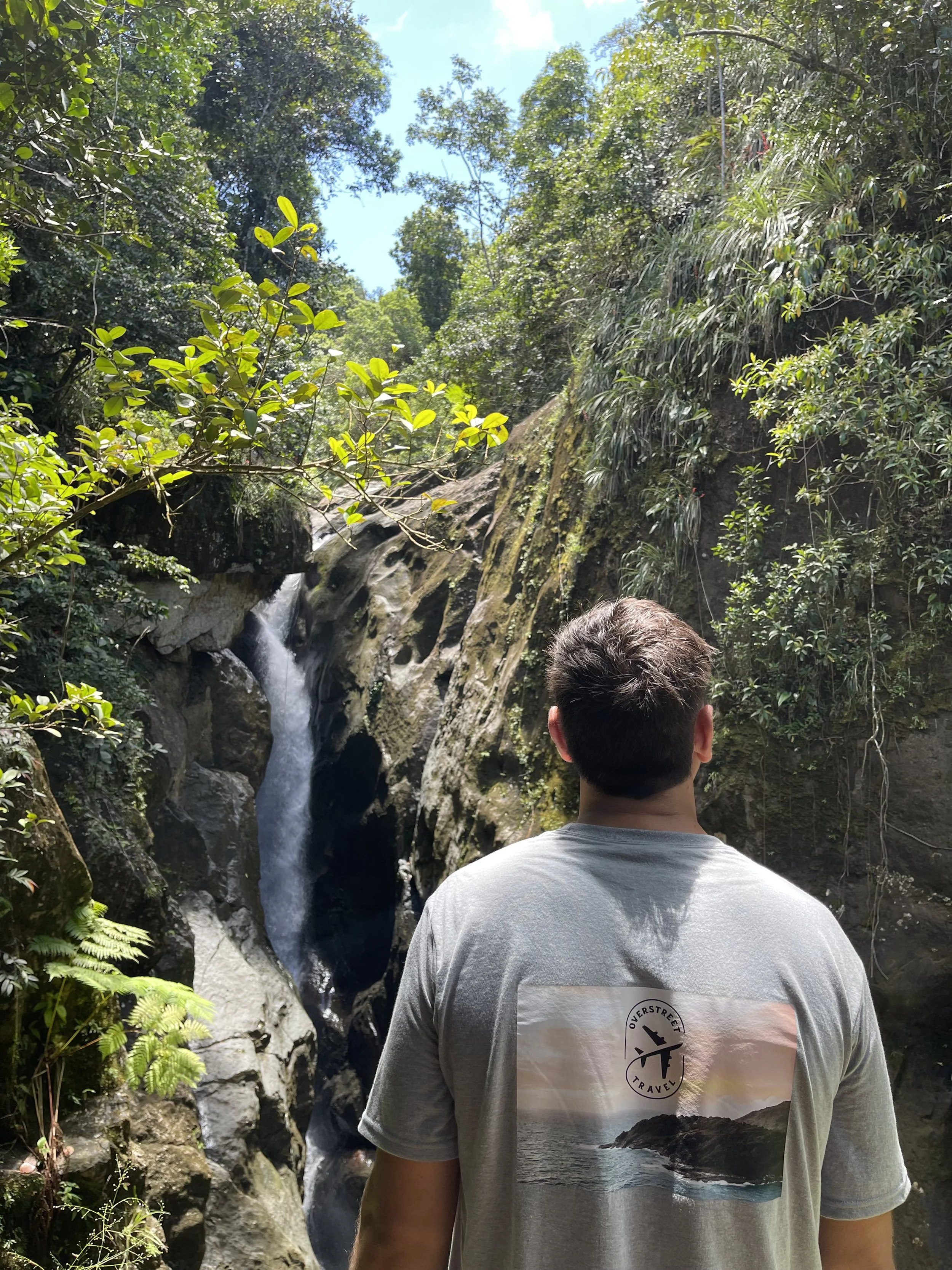 Back view of a man in a gray T-shirt standing in front of a rocky waterfall surrounded by lush green foliage on a bright, sunny day.