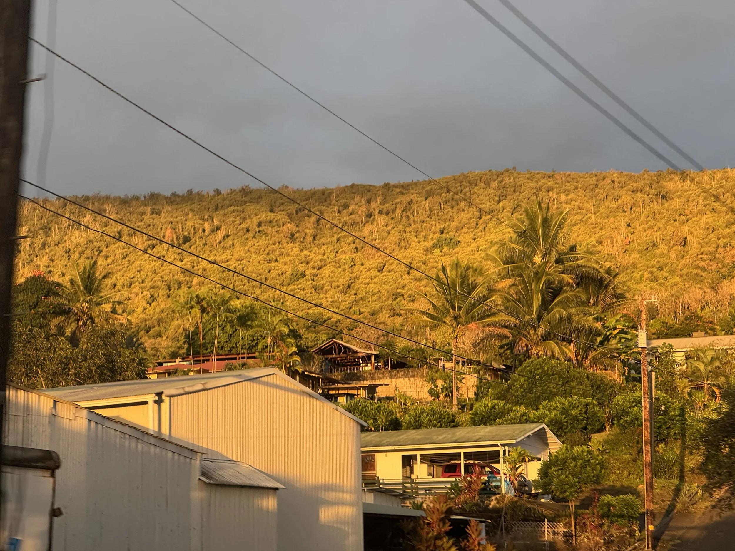 A landscape scene featuring a hillside covered in trees with autumn foliage, power lines crossing the sky, and residential buildings with metal roofs at the bottom of the image, under a mostly cloudy sky.