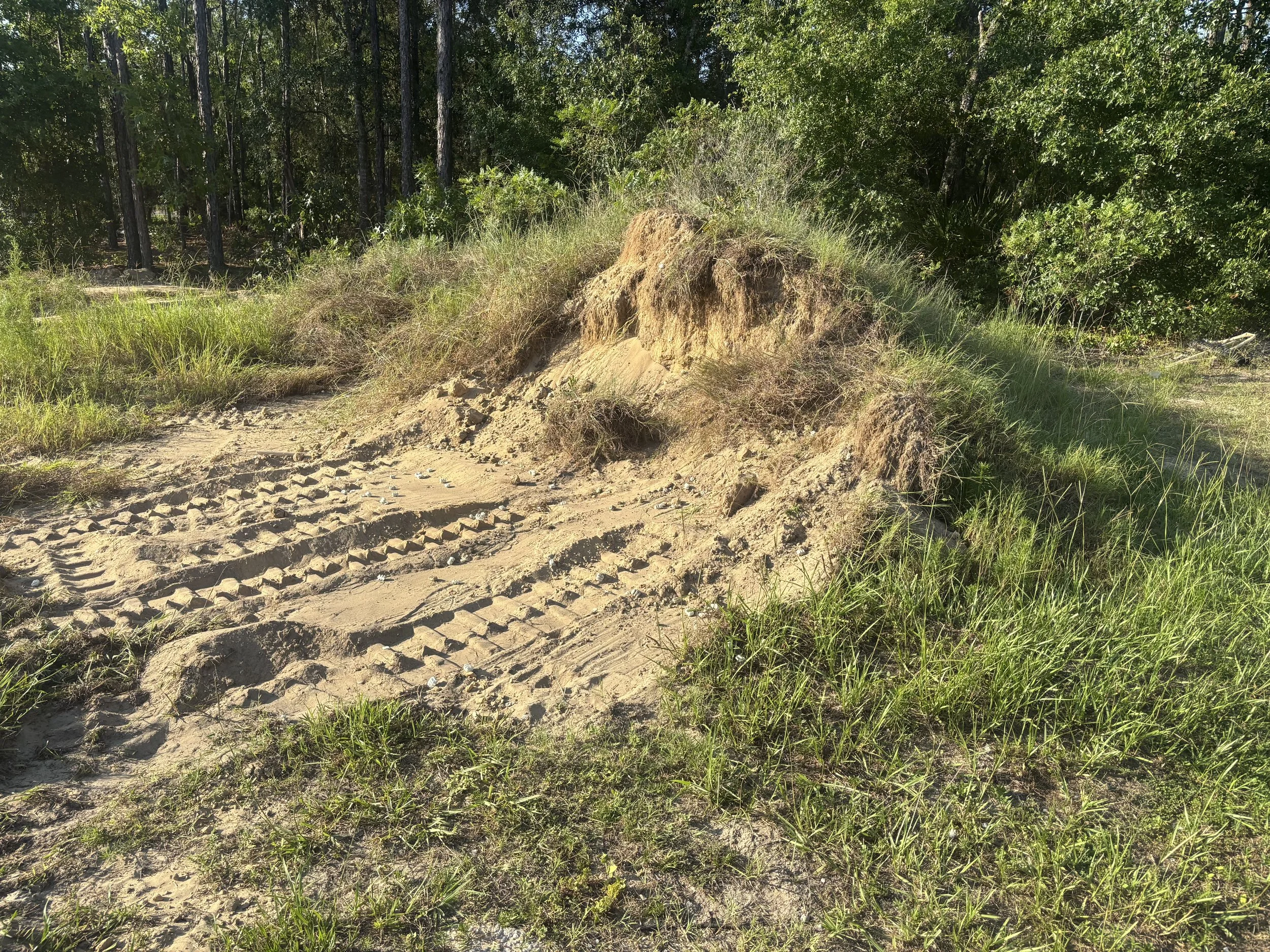 Land clearing