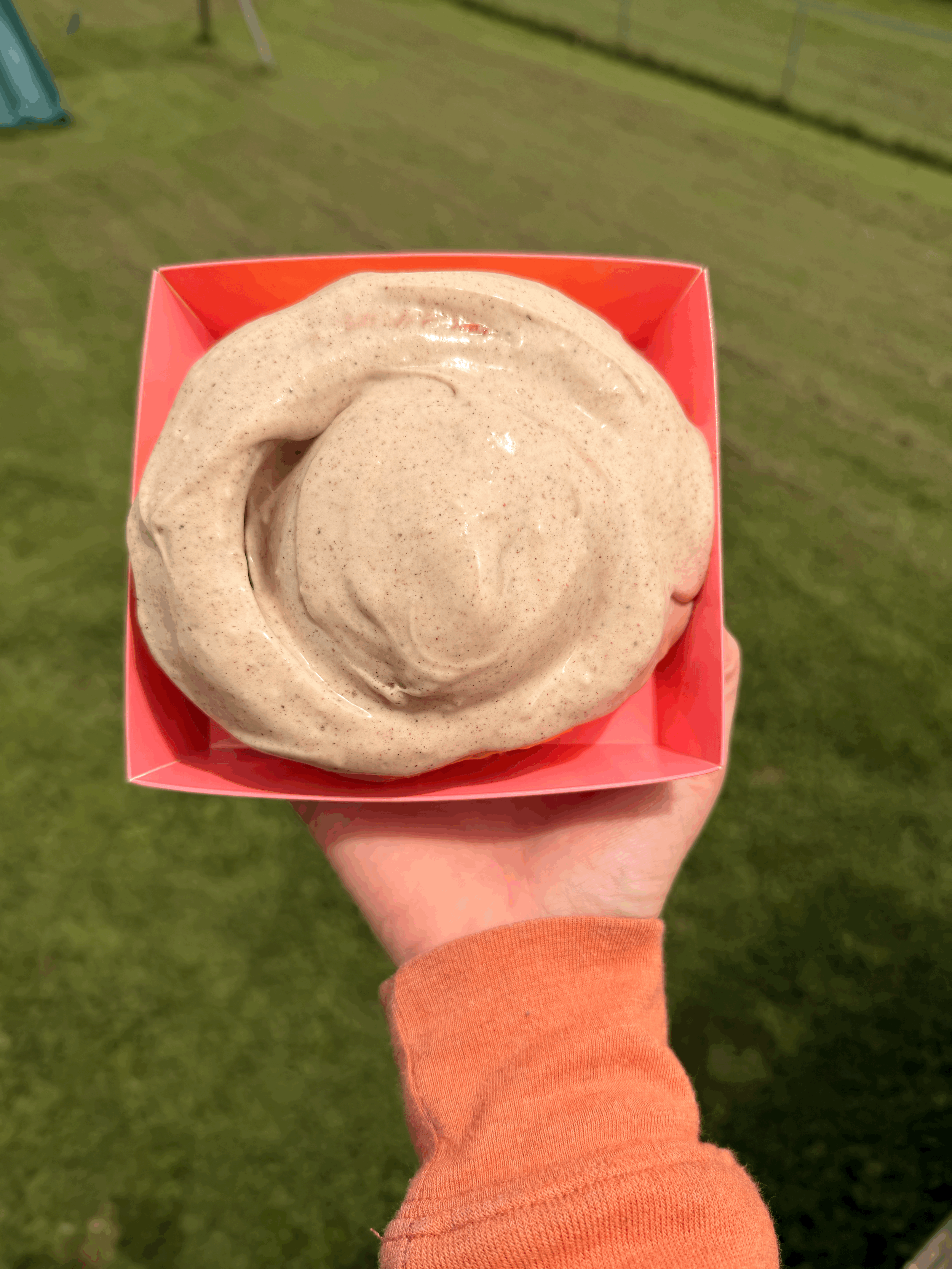 Sourdough Pumpkin Spice Cinnamon Roll Recipe