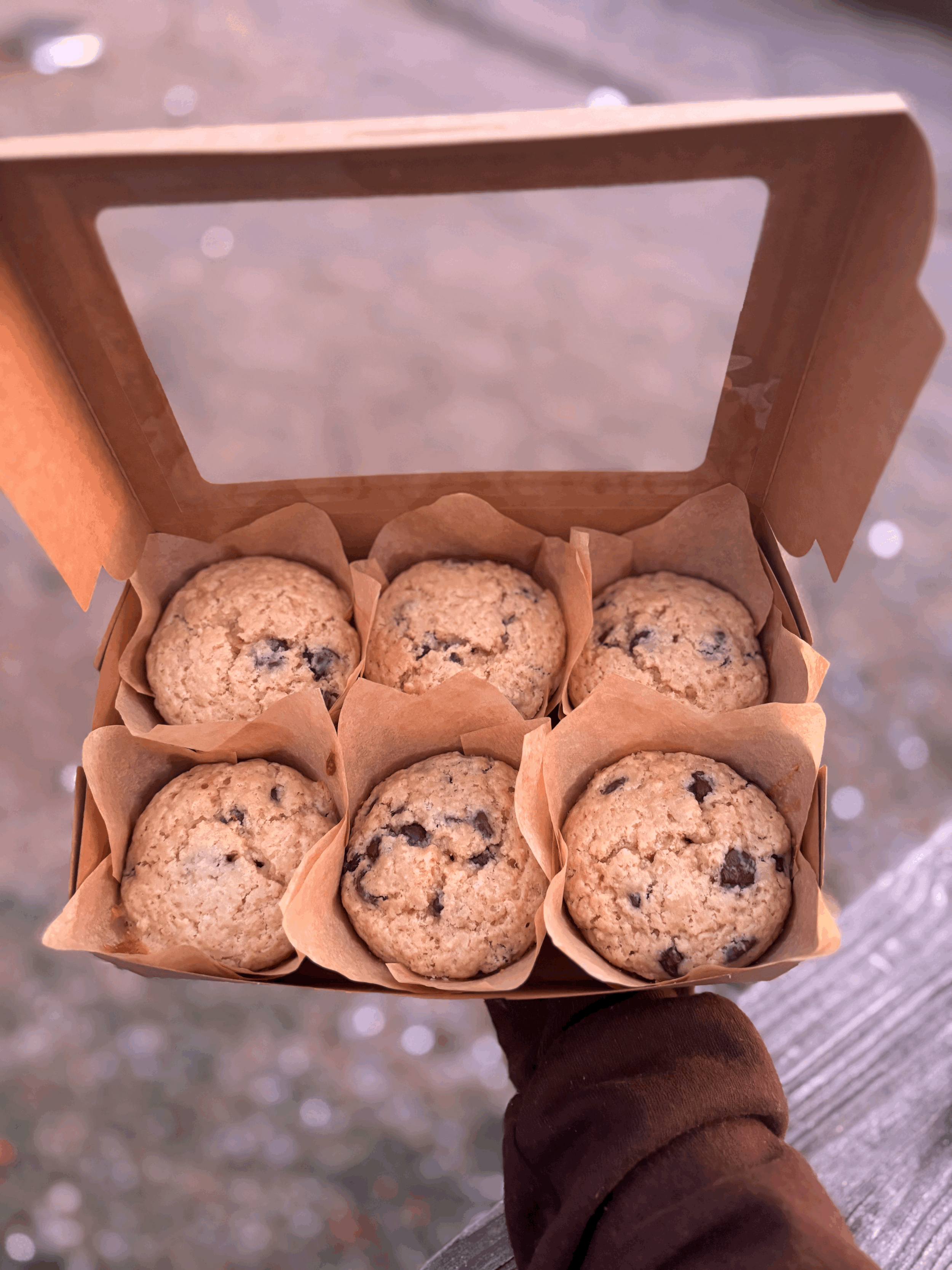 Chocolate Chip Muffins
