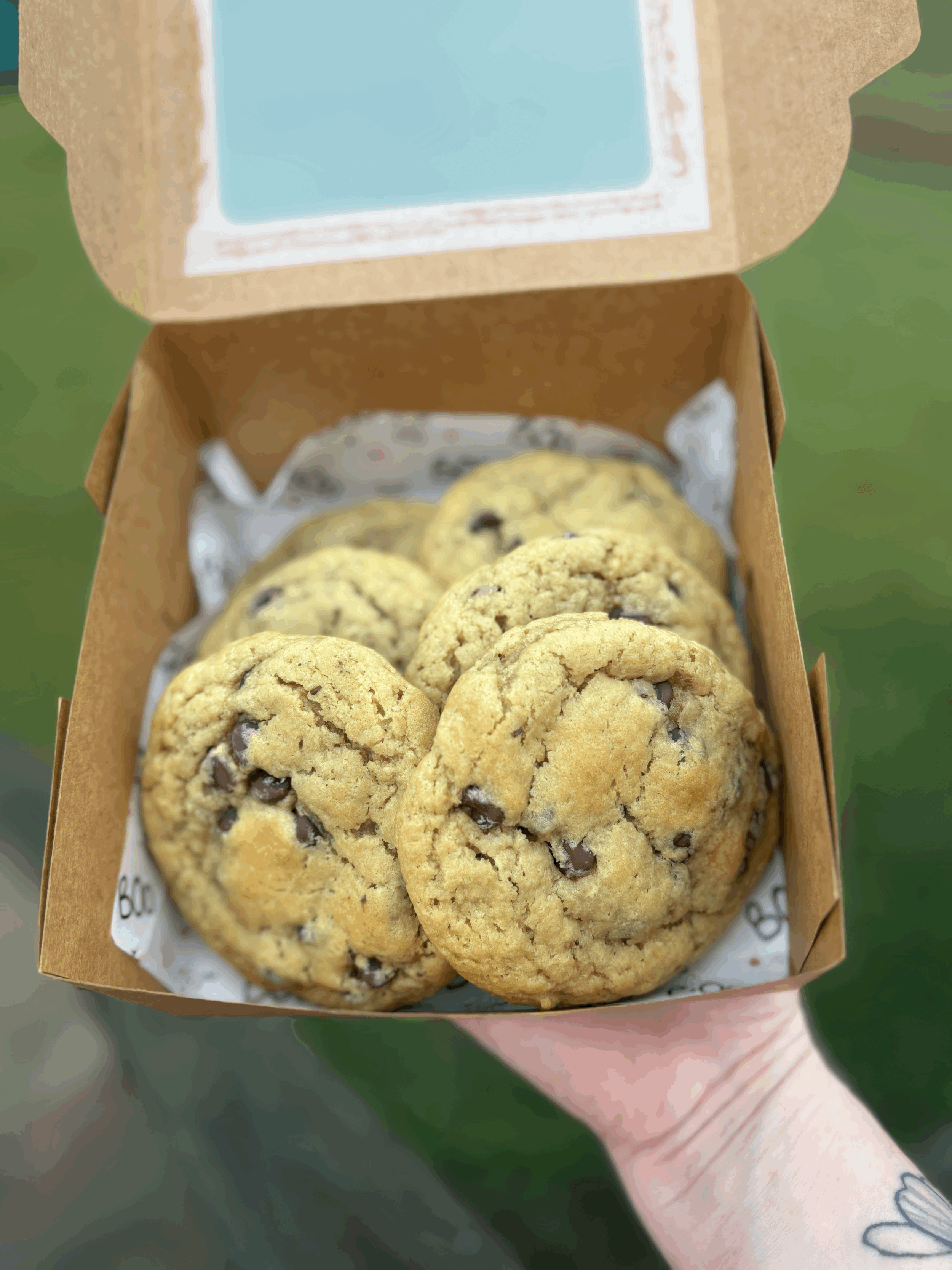 Sourdough Chocolate Chip Cookies Recipe