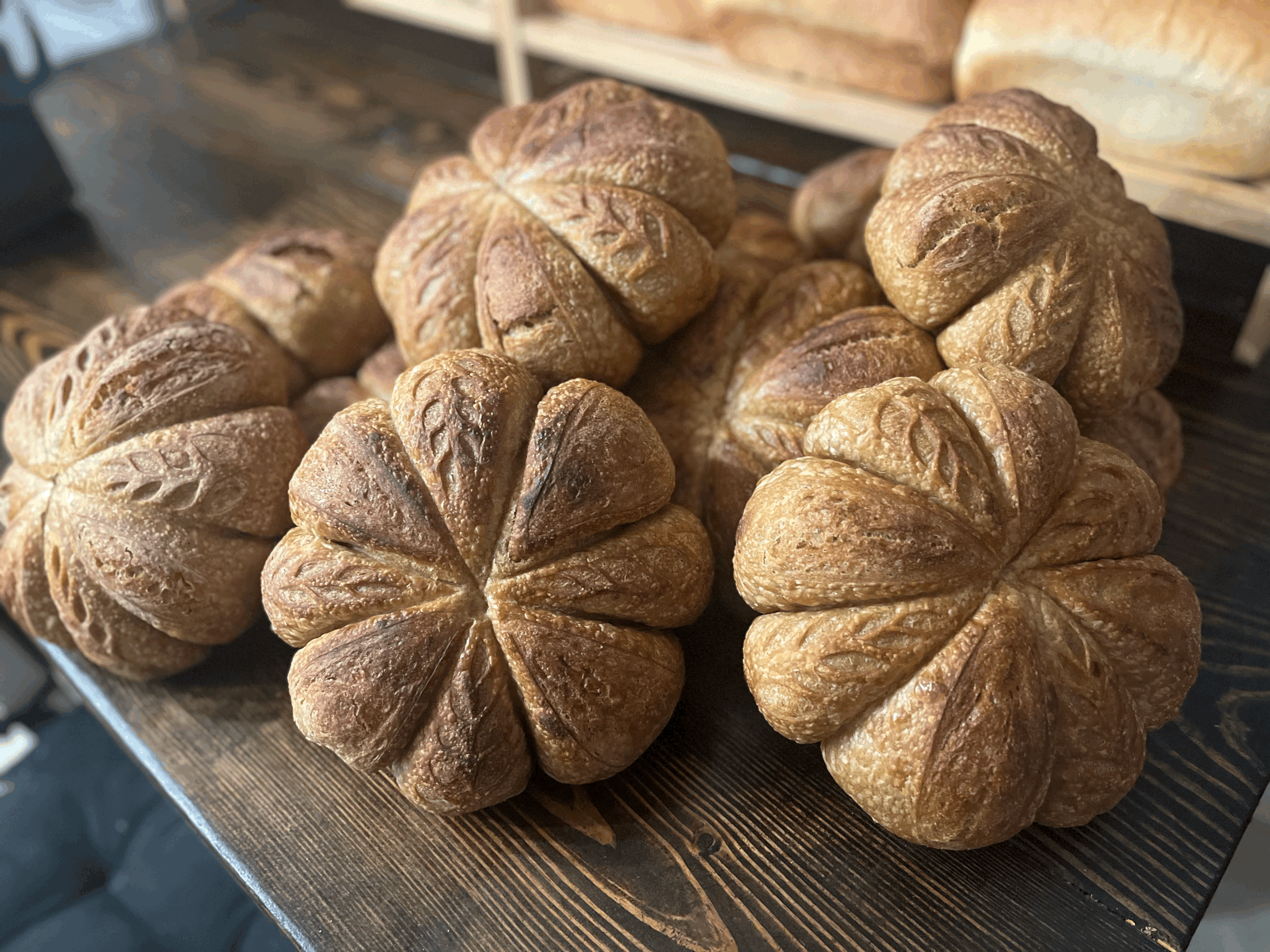 Pumpkin Spice Sourdough Recipe