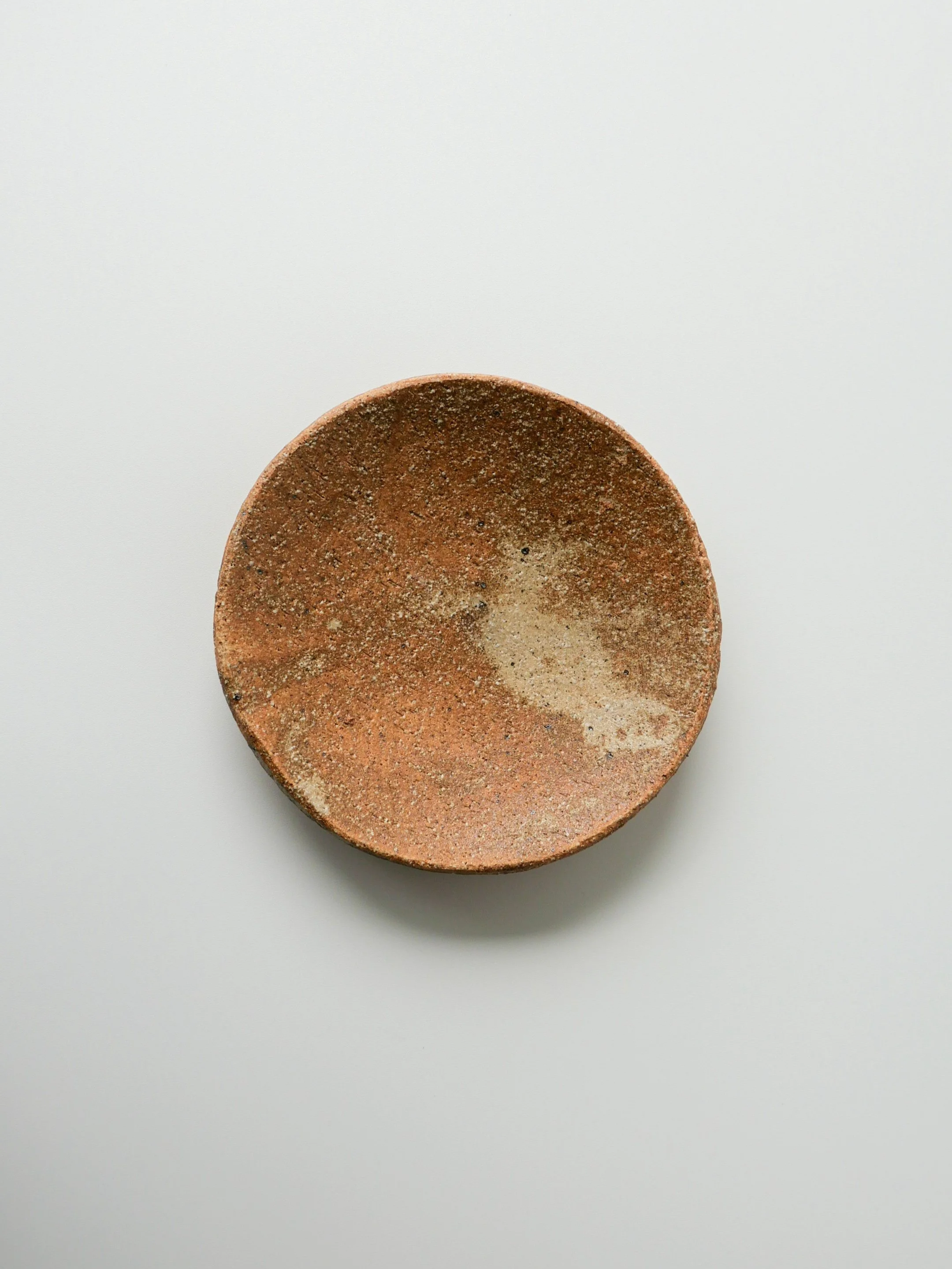 Shigaraki Plate｜plain
