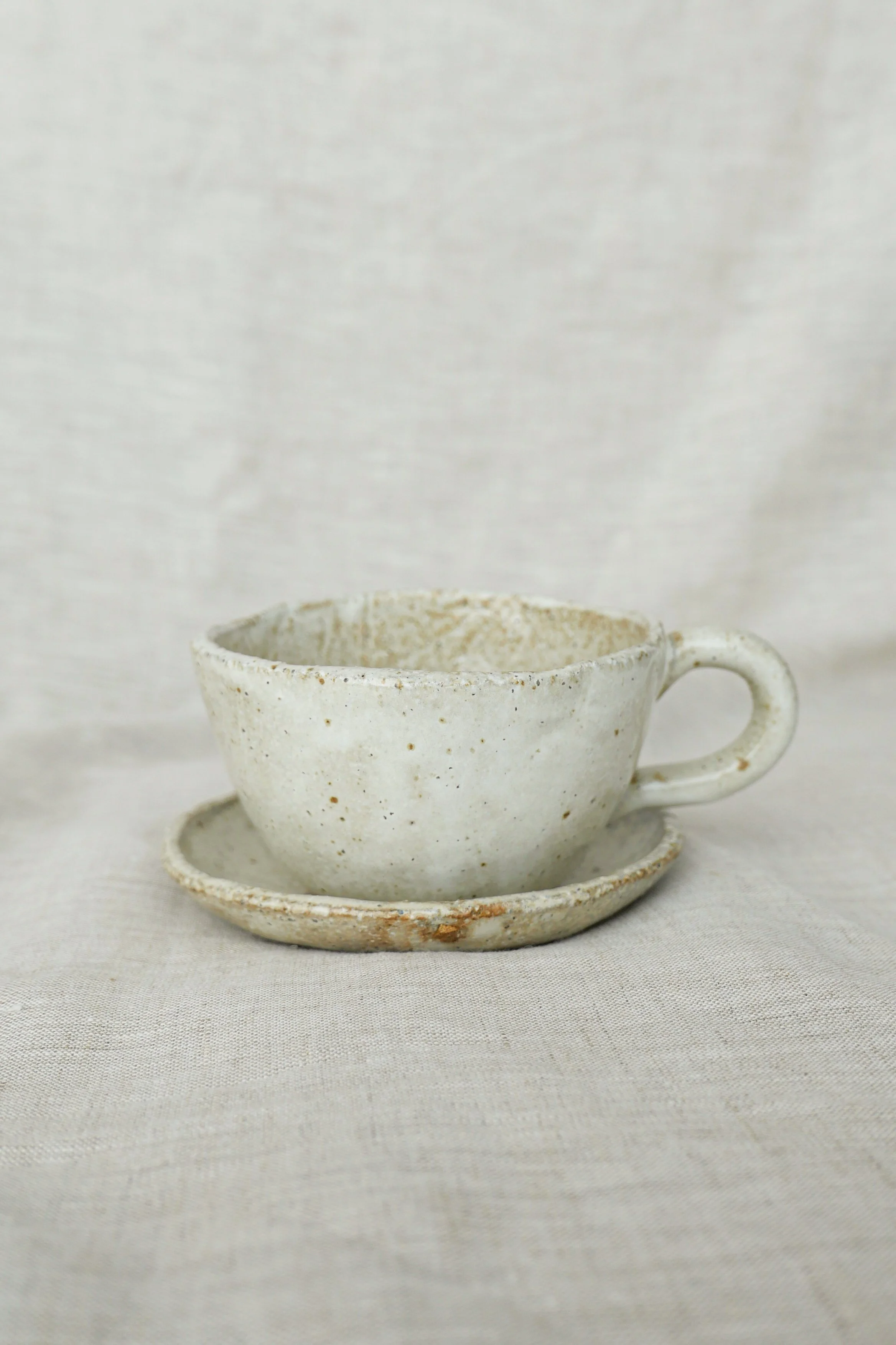 Shigaraki Tea Cup