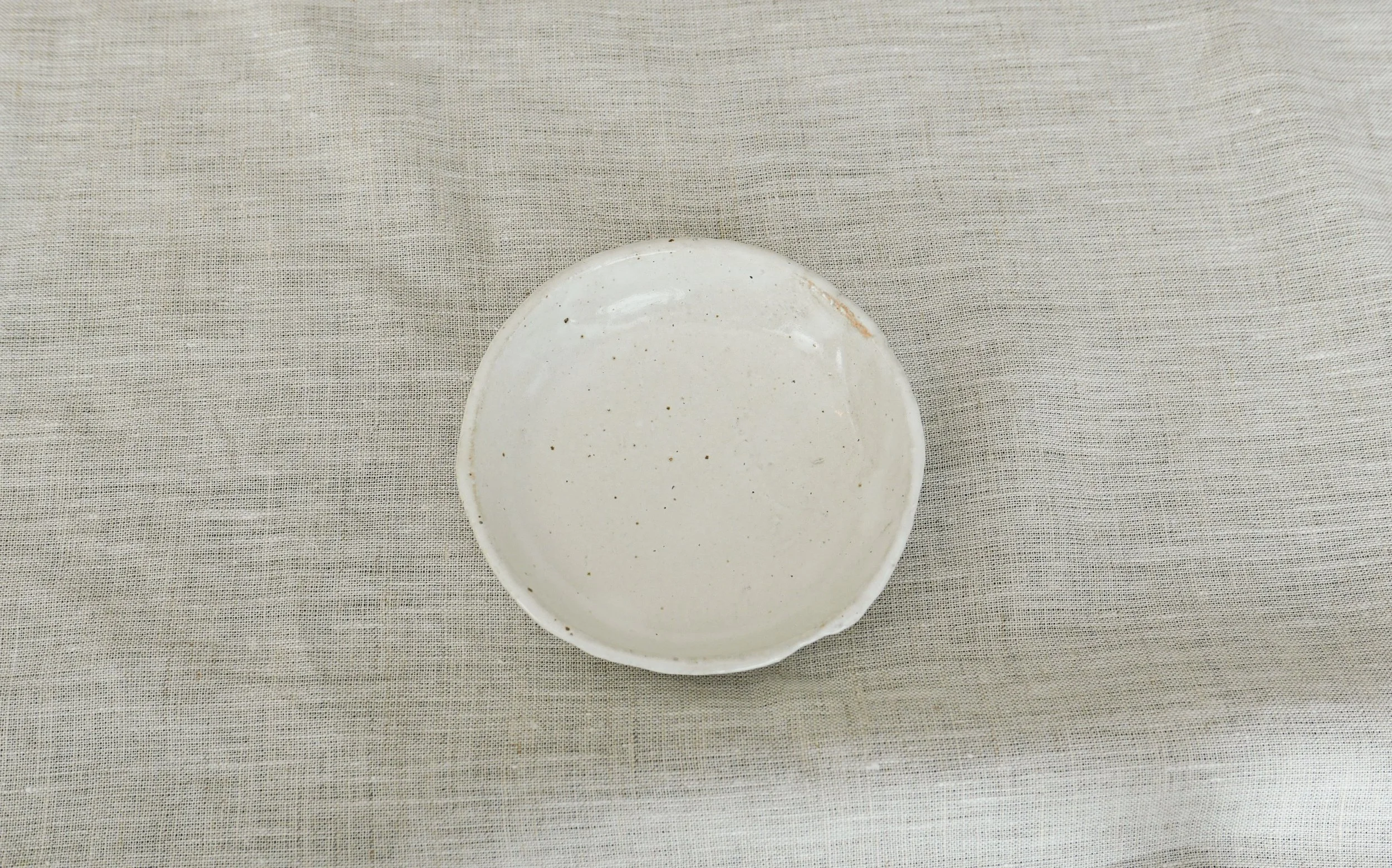 Shigaraki-miniplate-white 1.JPG