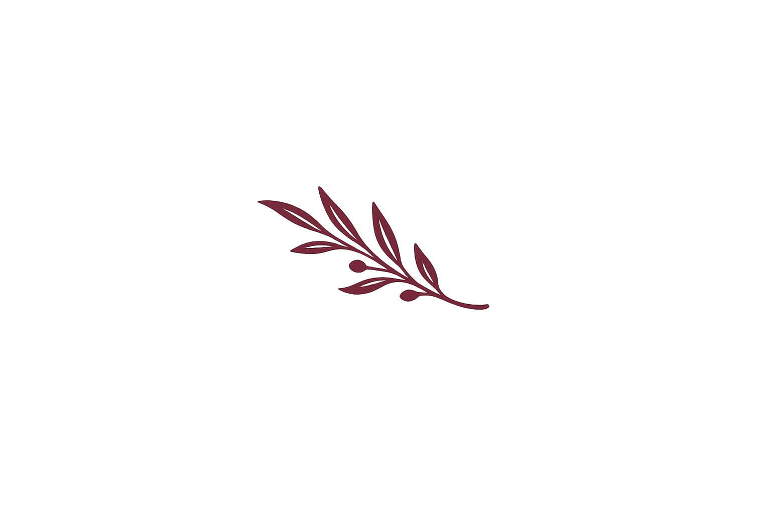 Illustration d'une branche de feuille avec des petites noix, en couleur bordeaux, au centre d'un fond noir.