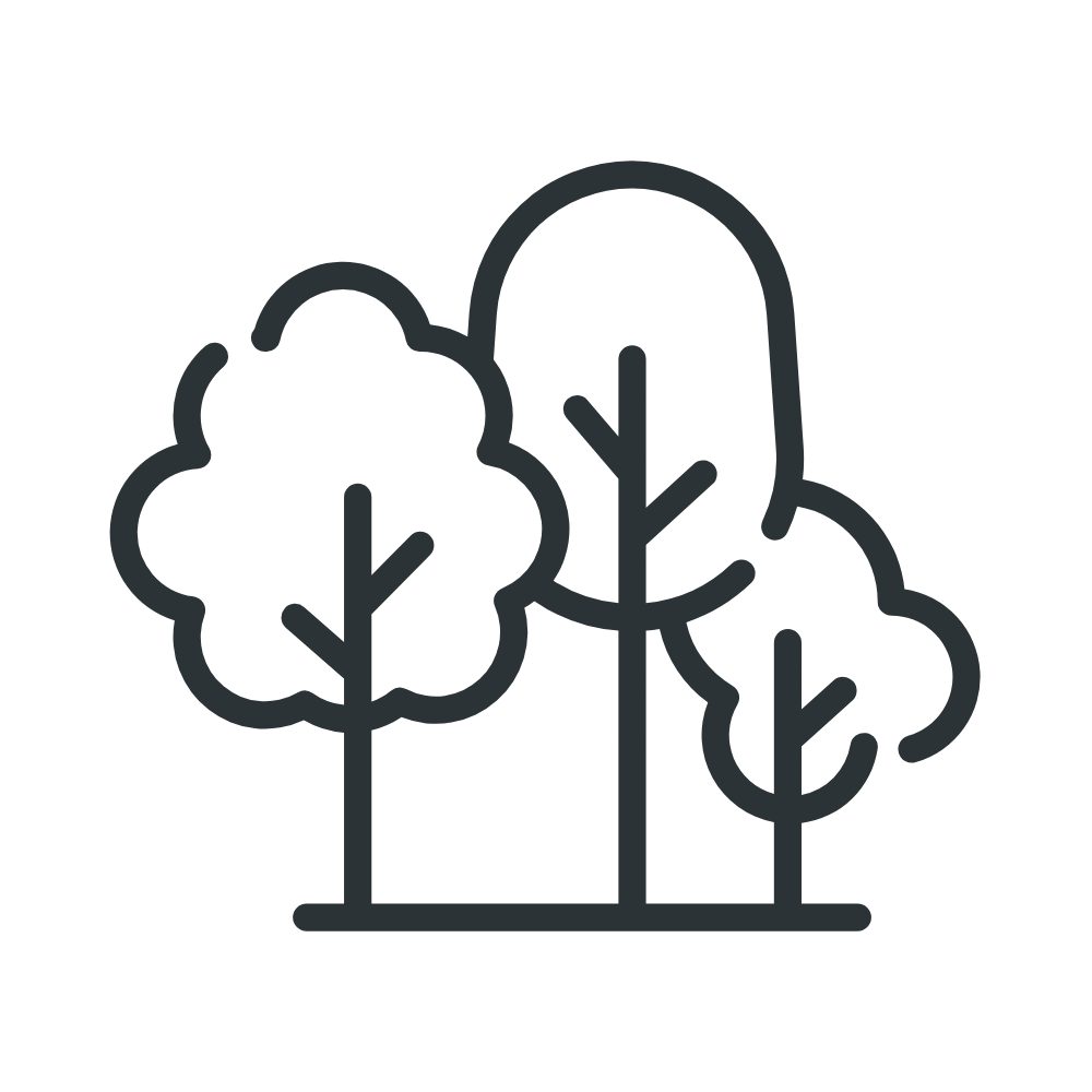 Simple line drawing of three trees, one with a round canopy, one with a tall narrow canopy, and one with a smaller canopy.