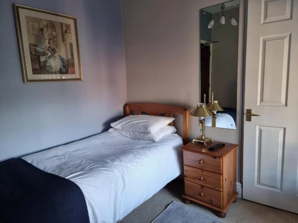 A small bedroom with a single bed covered with white sheets and pillows, a wooden nightstand with three drawers holding two brass lamps and a remote control, a mirror on the wall, a framed painting of a woman in the background, and a white door slightly open leading to another room.