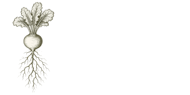 IRISH ROUTES