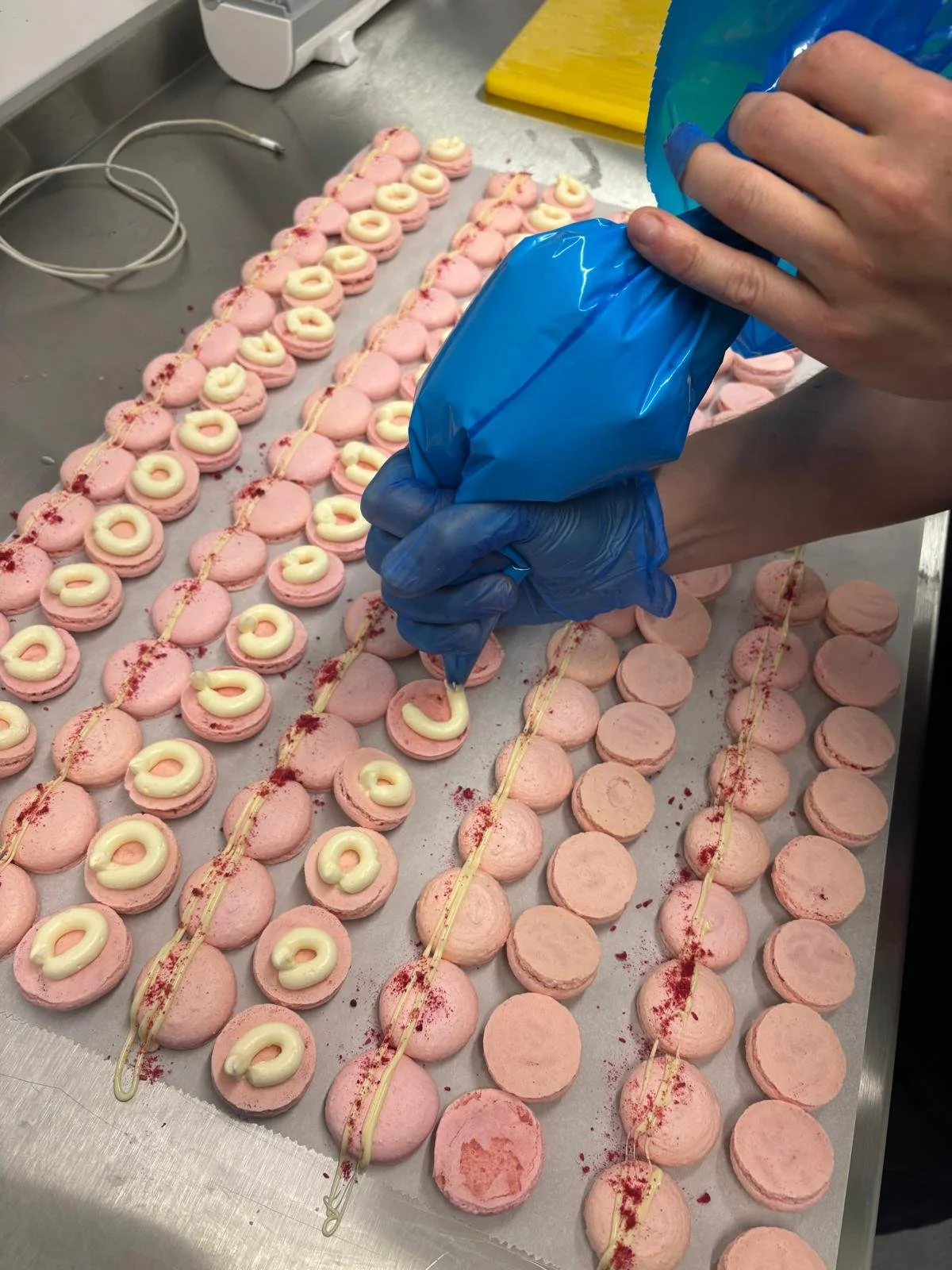 A person wearing blue gloves piping white cream onto pink macarons arranged on baking sheets.