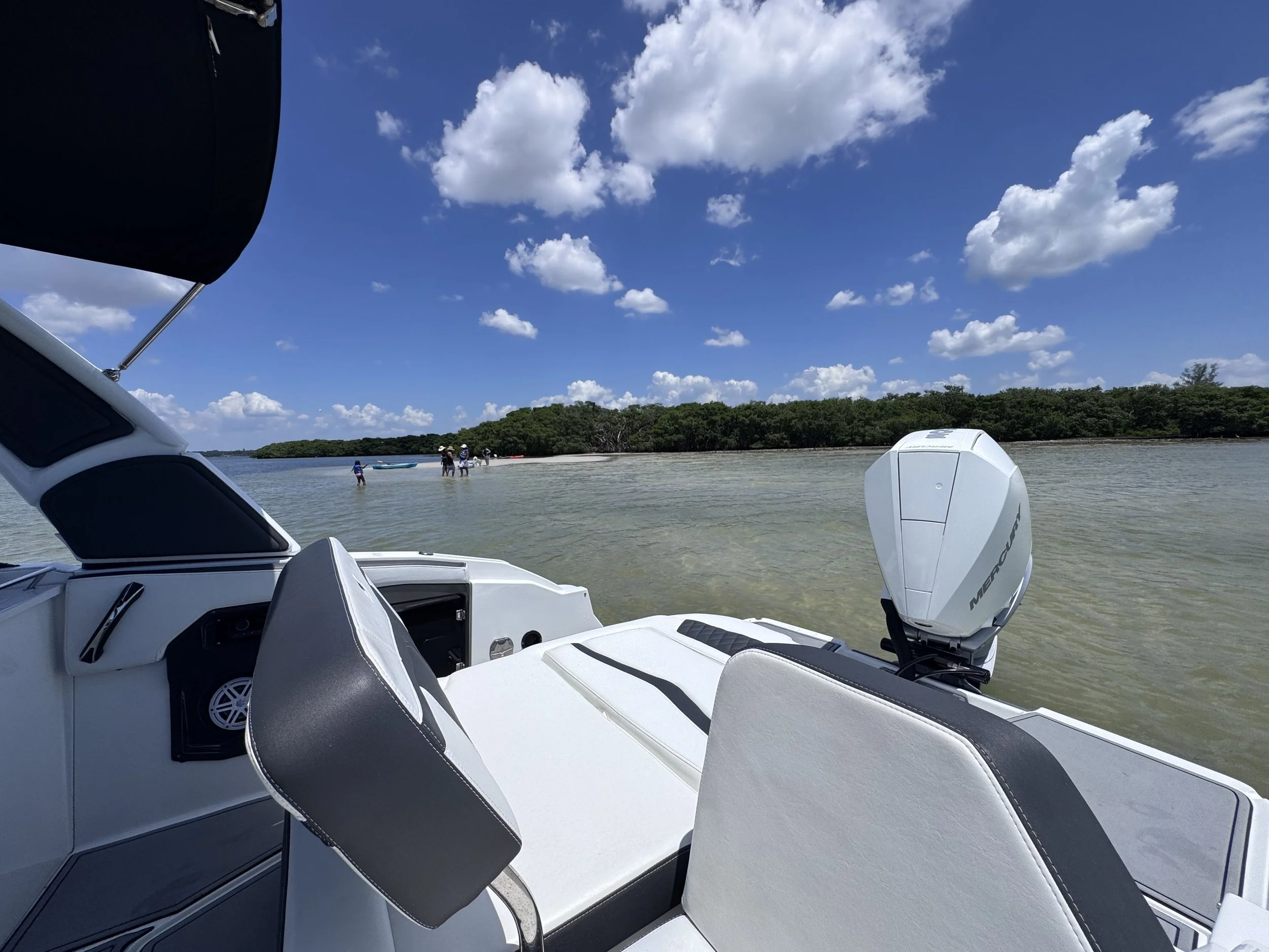 Bowrider Charter Madeira Beach