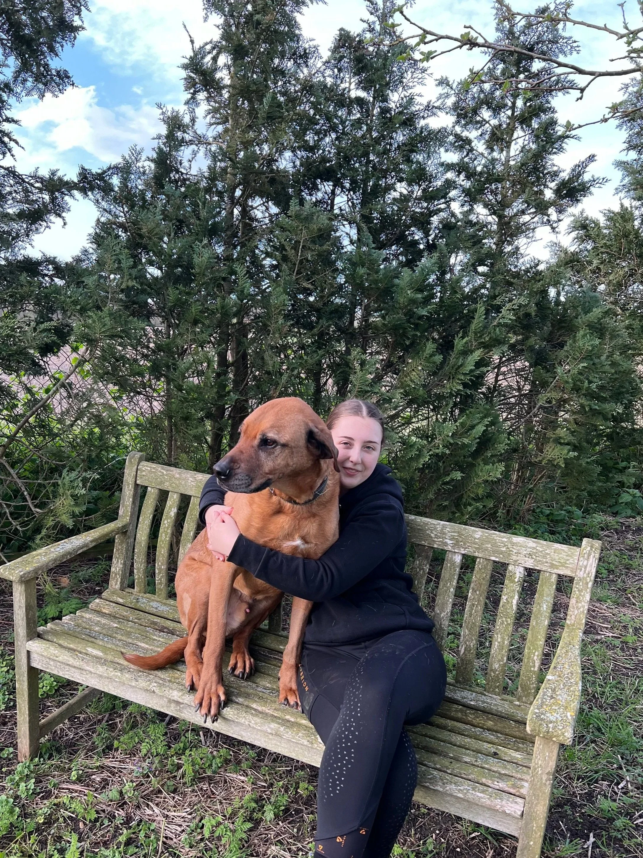 A young girl sitting on a weathered wooden bench outdoors, hugging a large brown dog with a black face, near lush green trees and a partly cloudy sky.