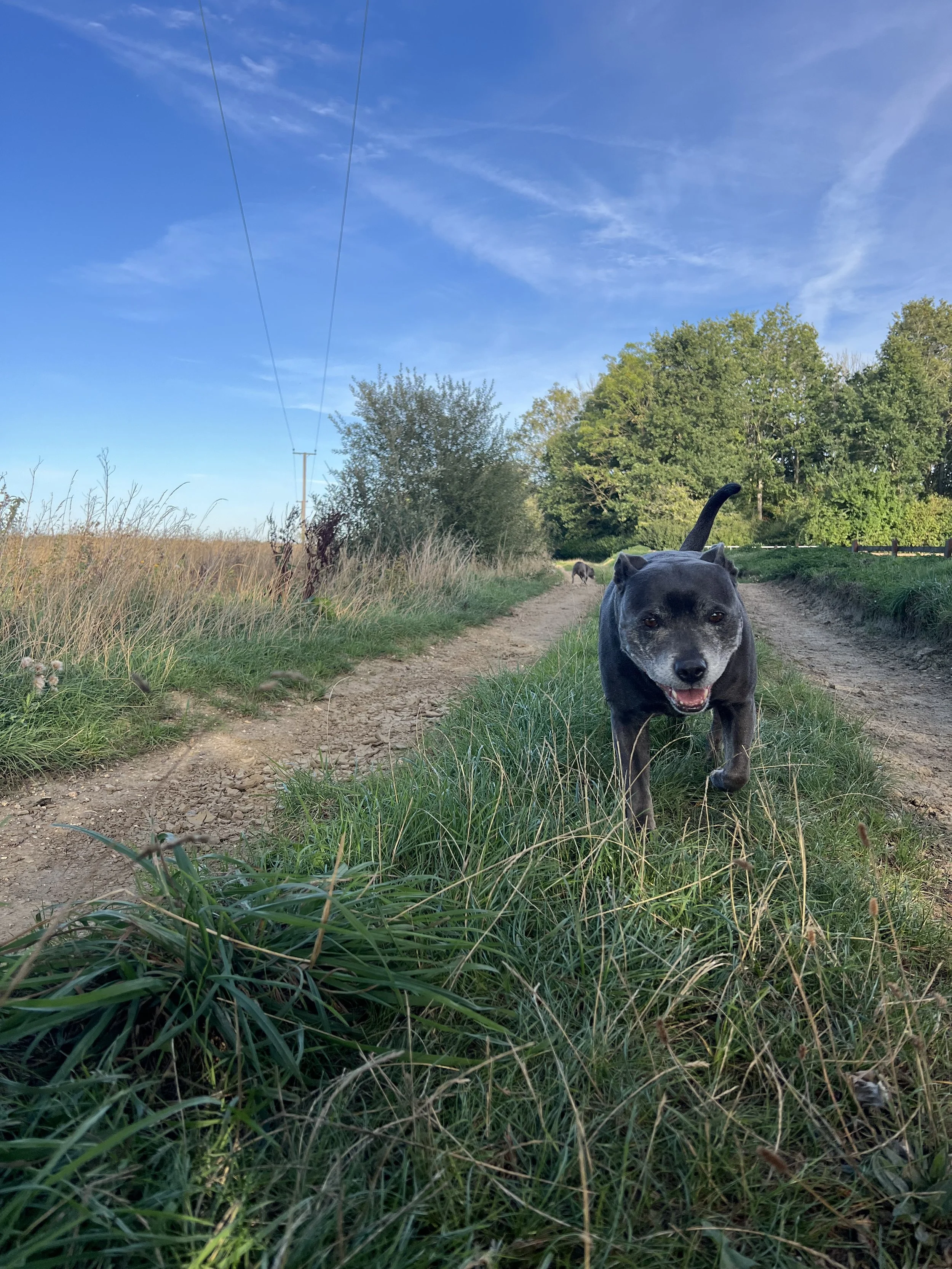 IMG_2894.jpeg