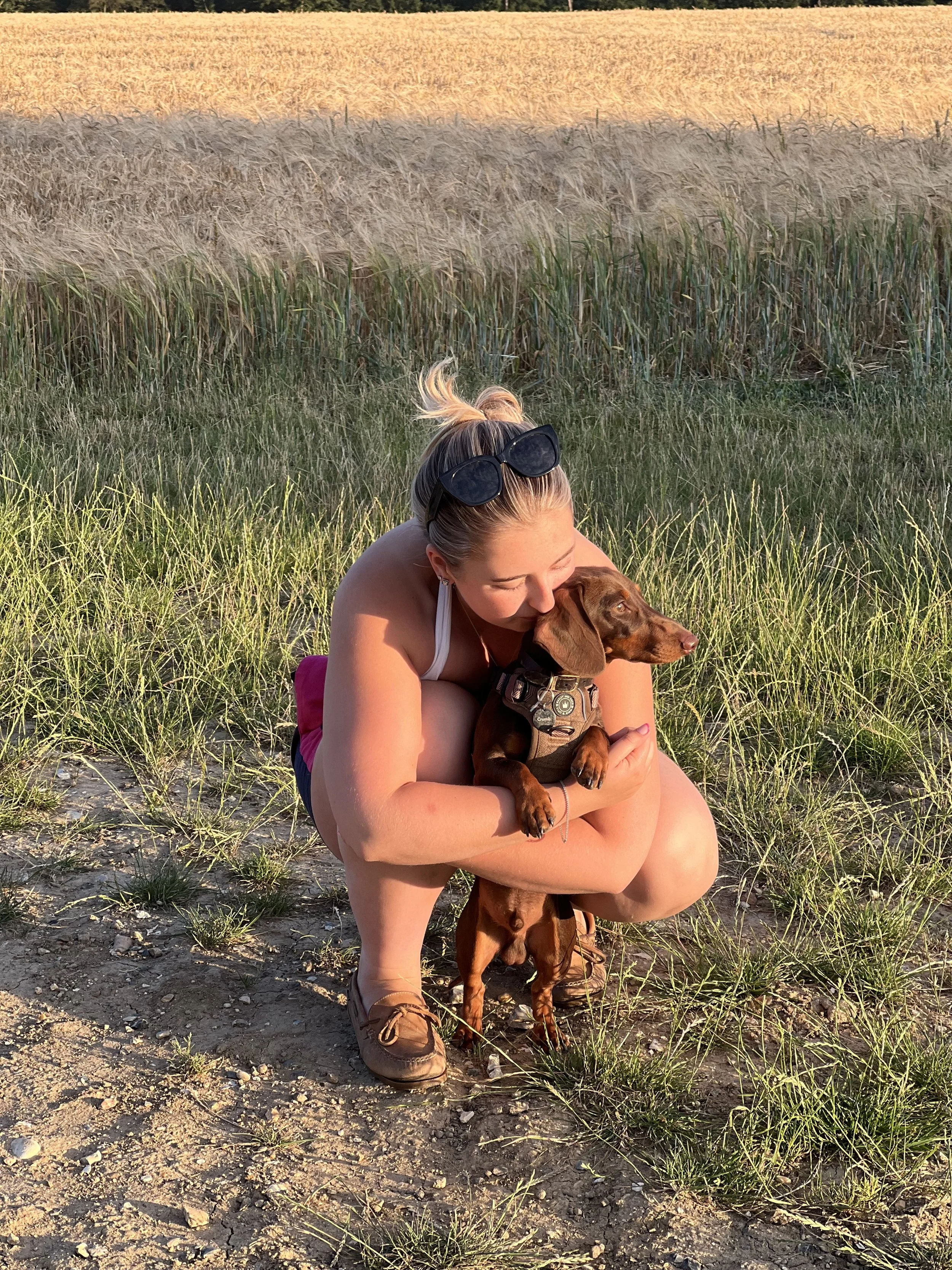 Solo dog walk, Ernie enjoying cuddles
