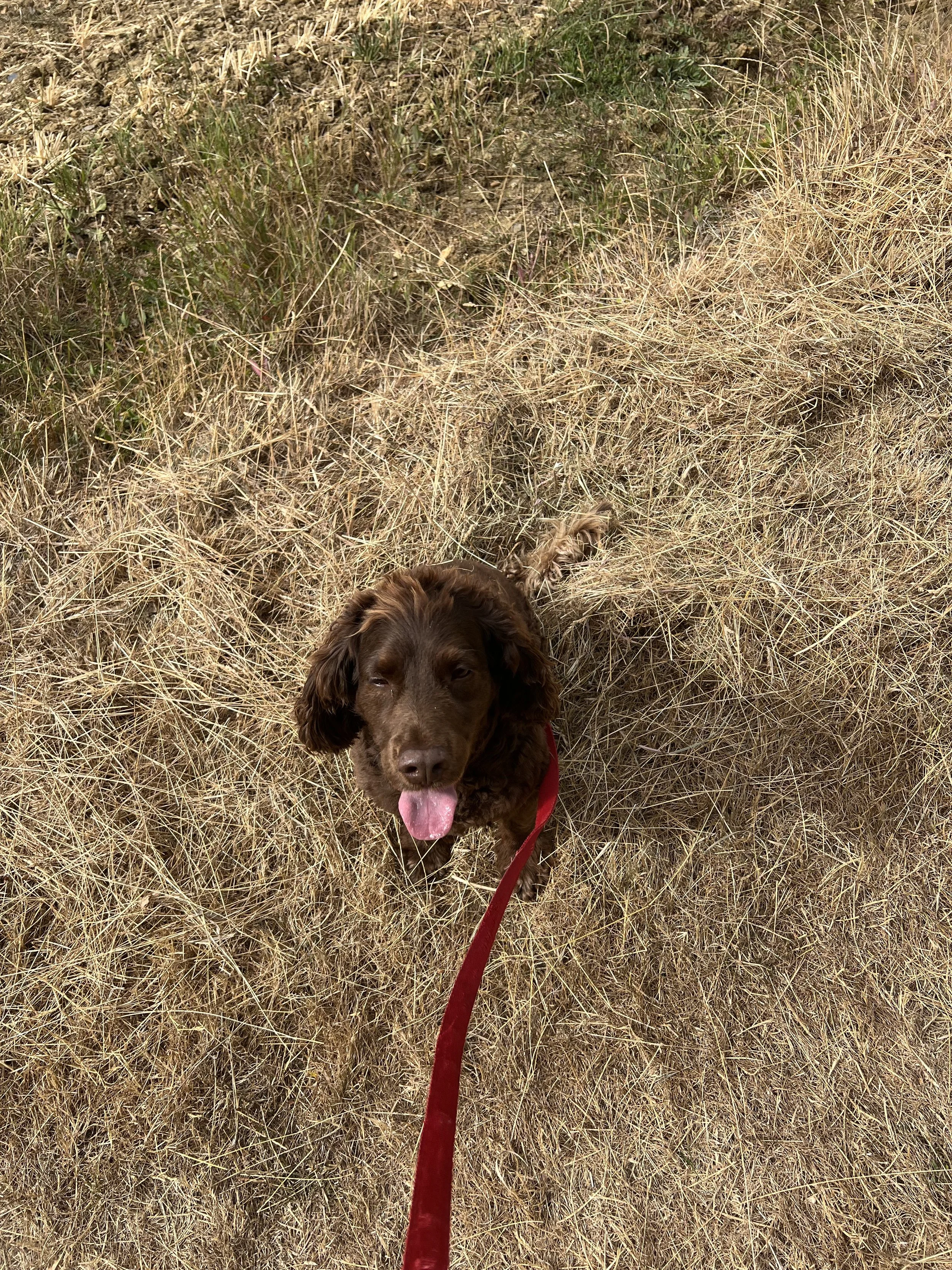 IMG_1982.jpeg