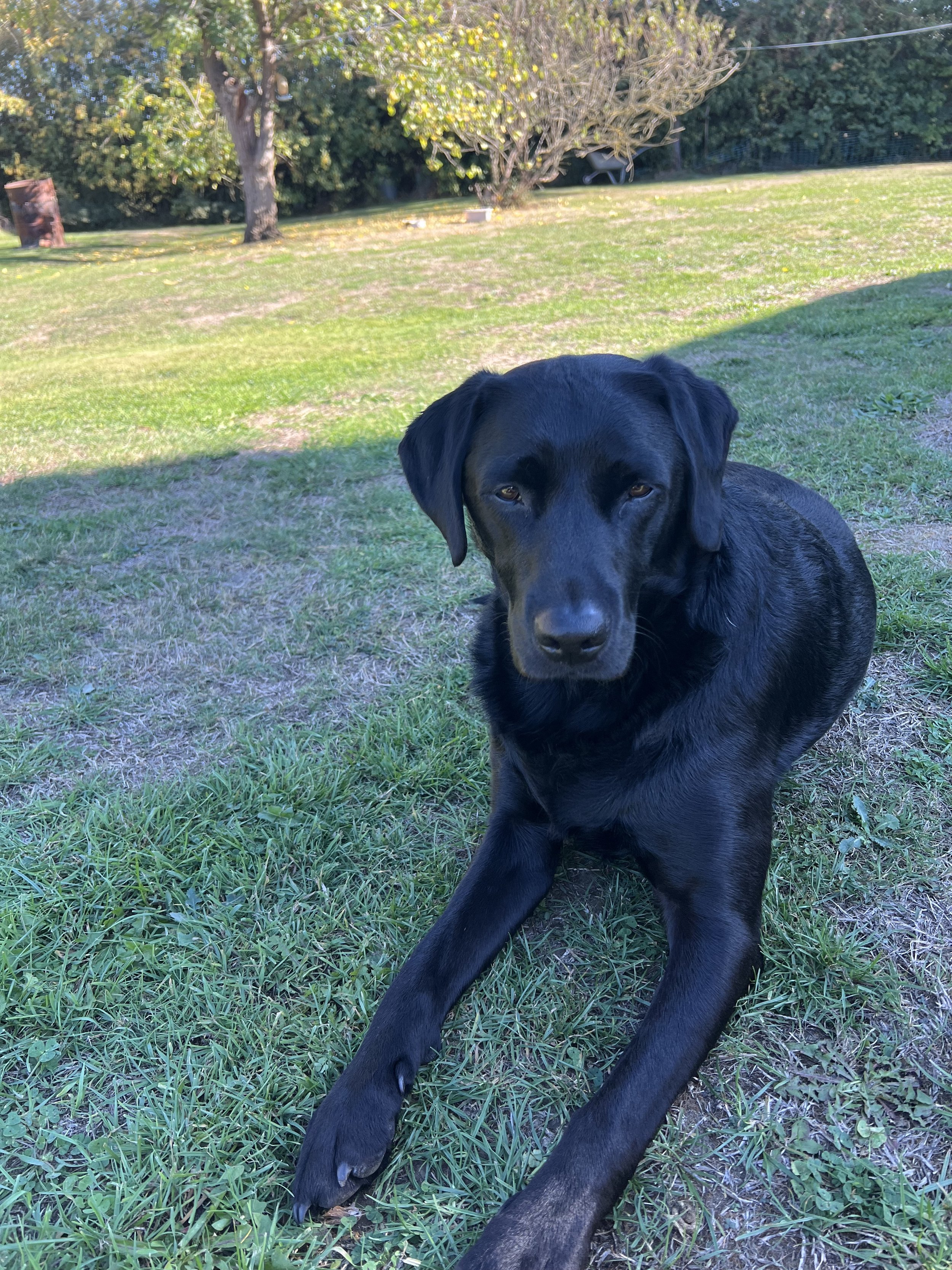 IMG_3201.jpeg