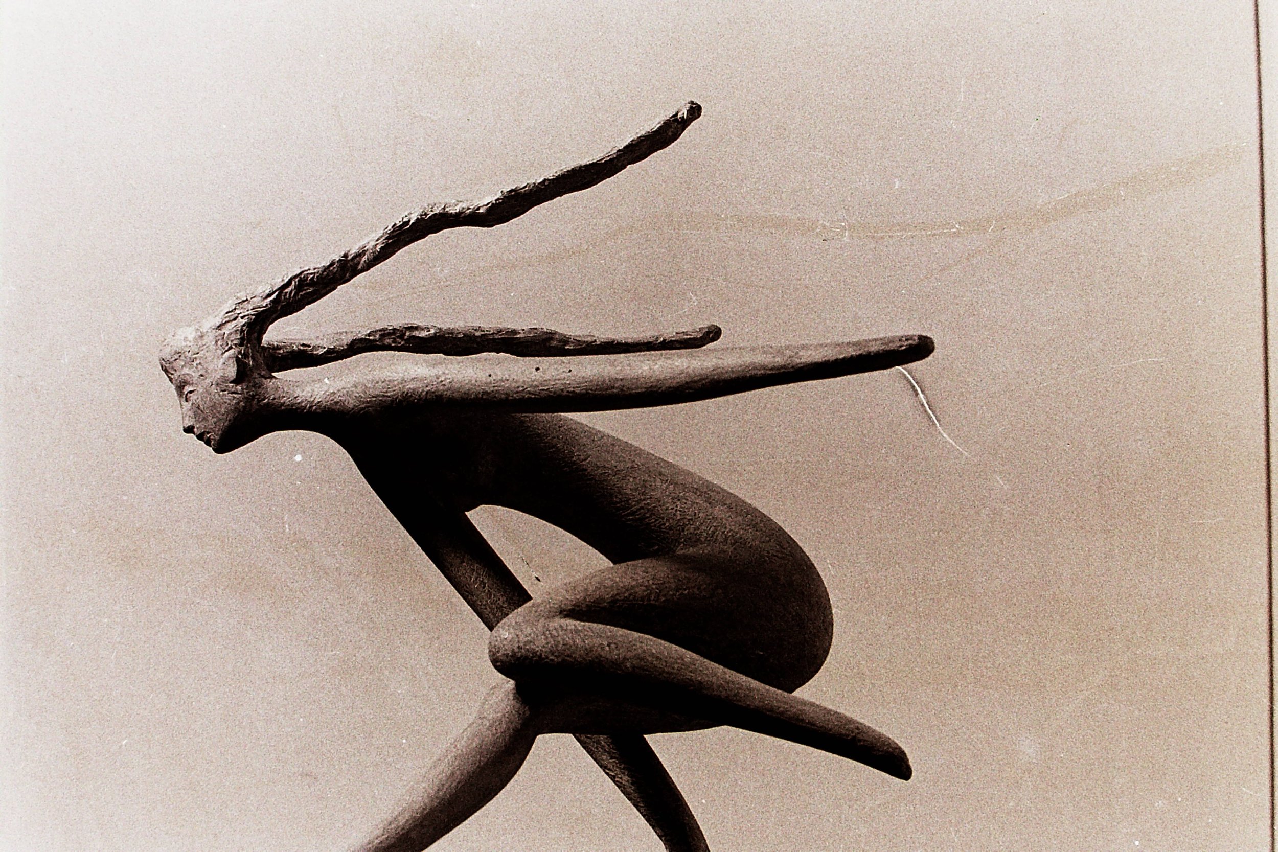PICT0140.JPG