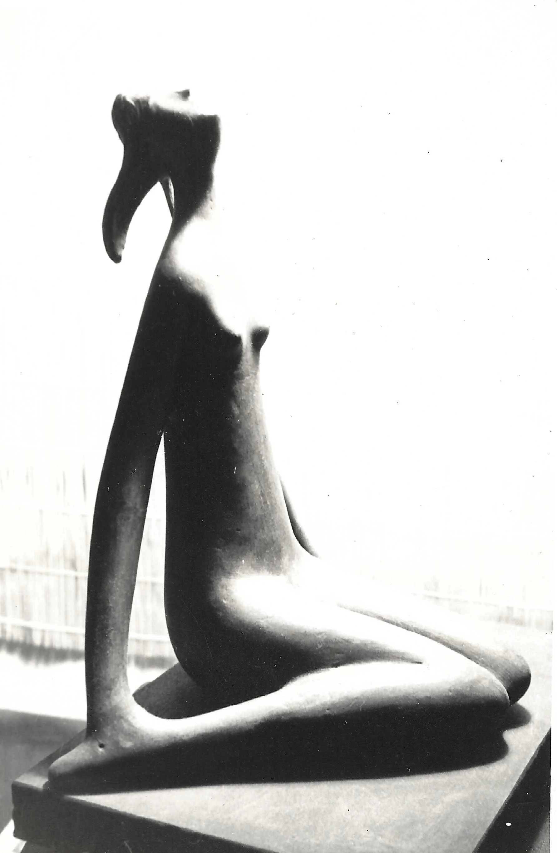 Scan 15.jpeg