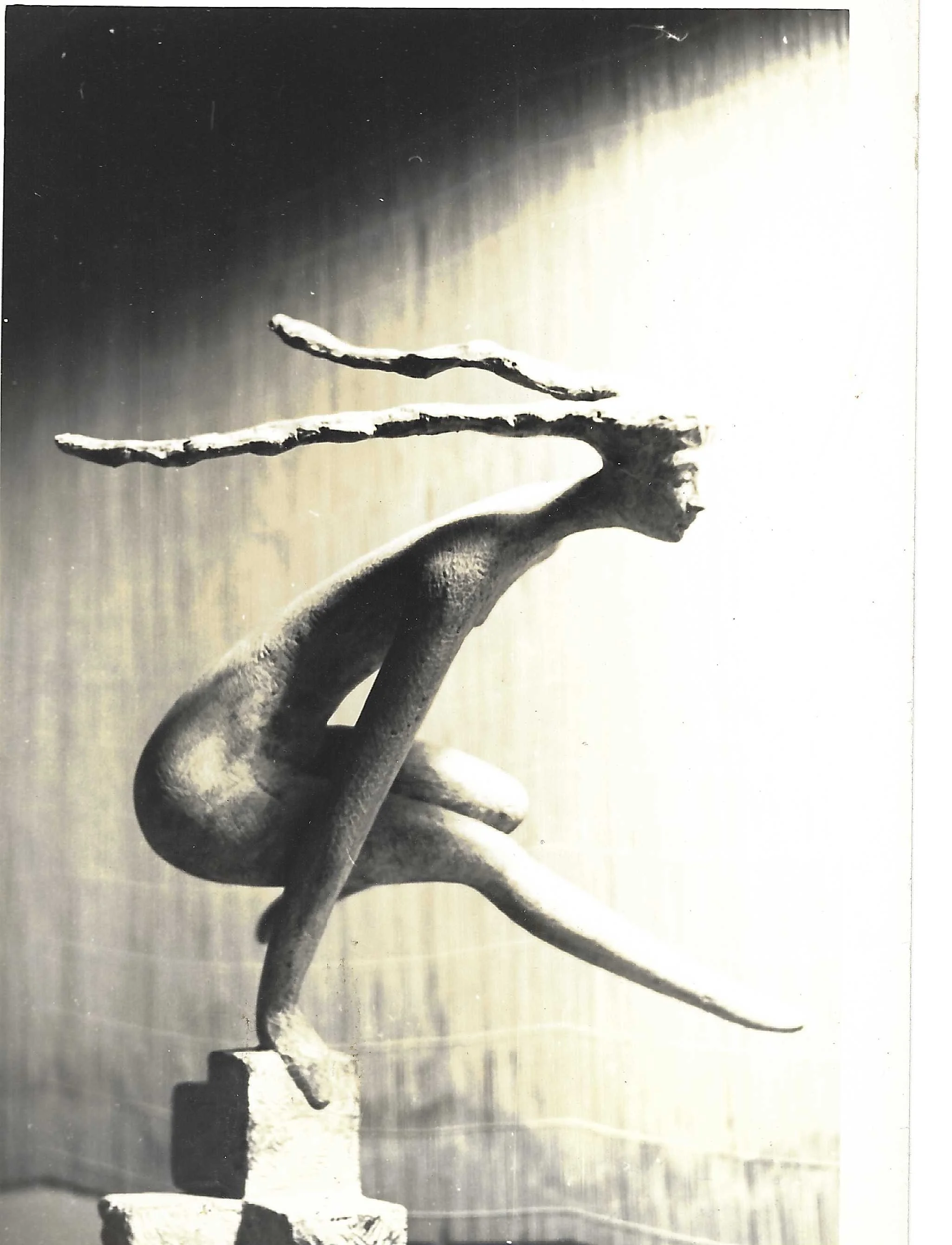 Scan 20.jpeg