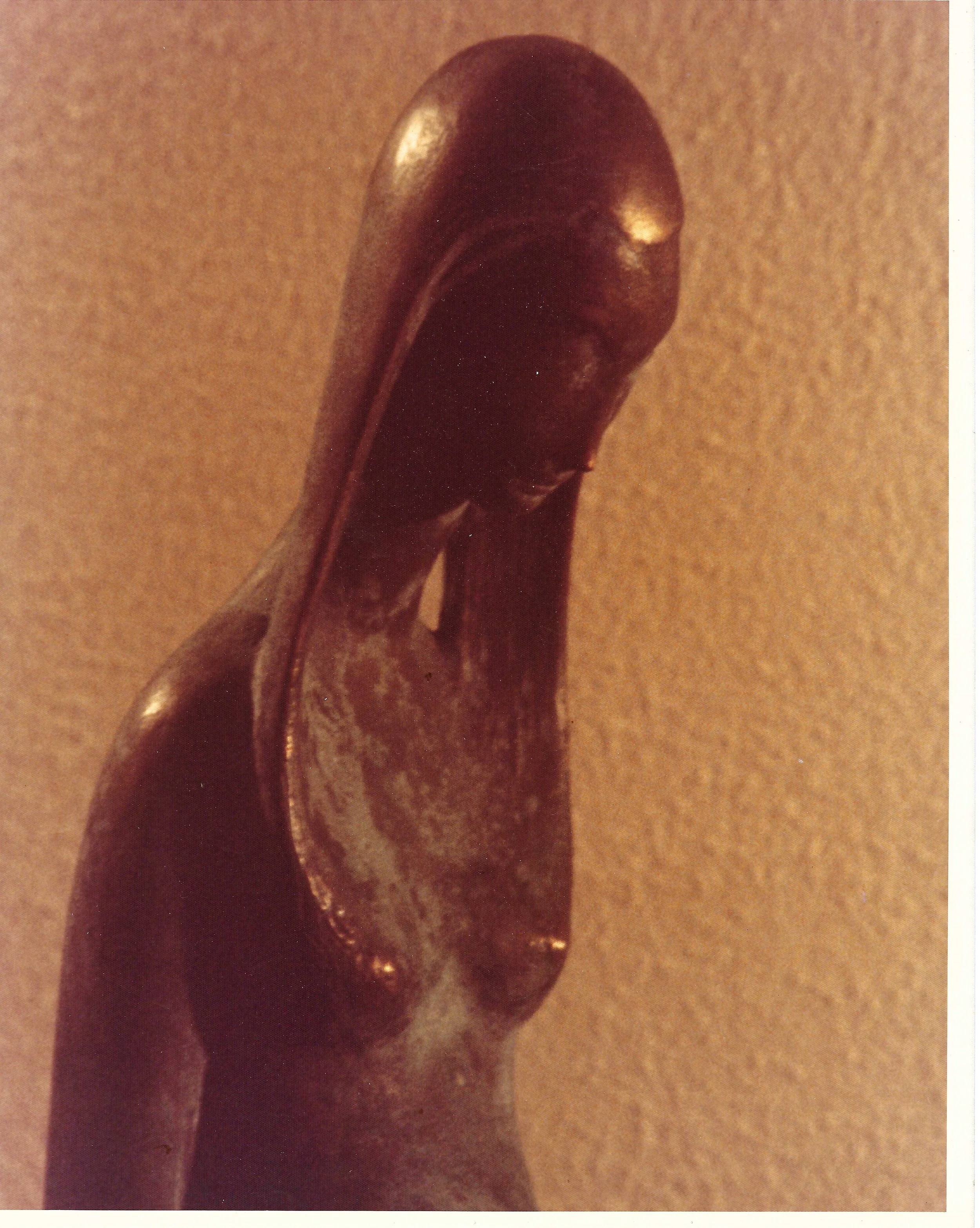 Scan 42.jpeg