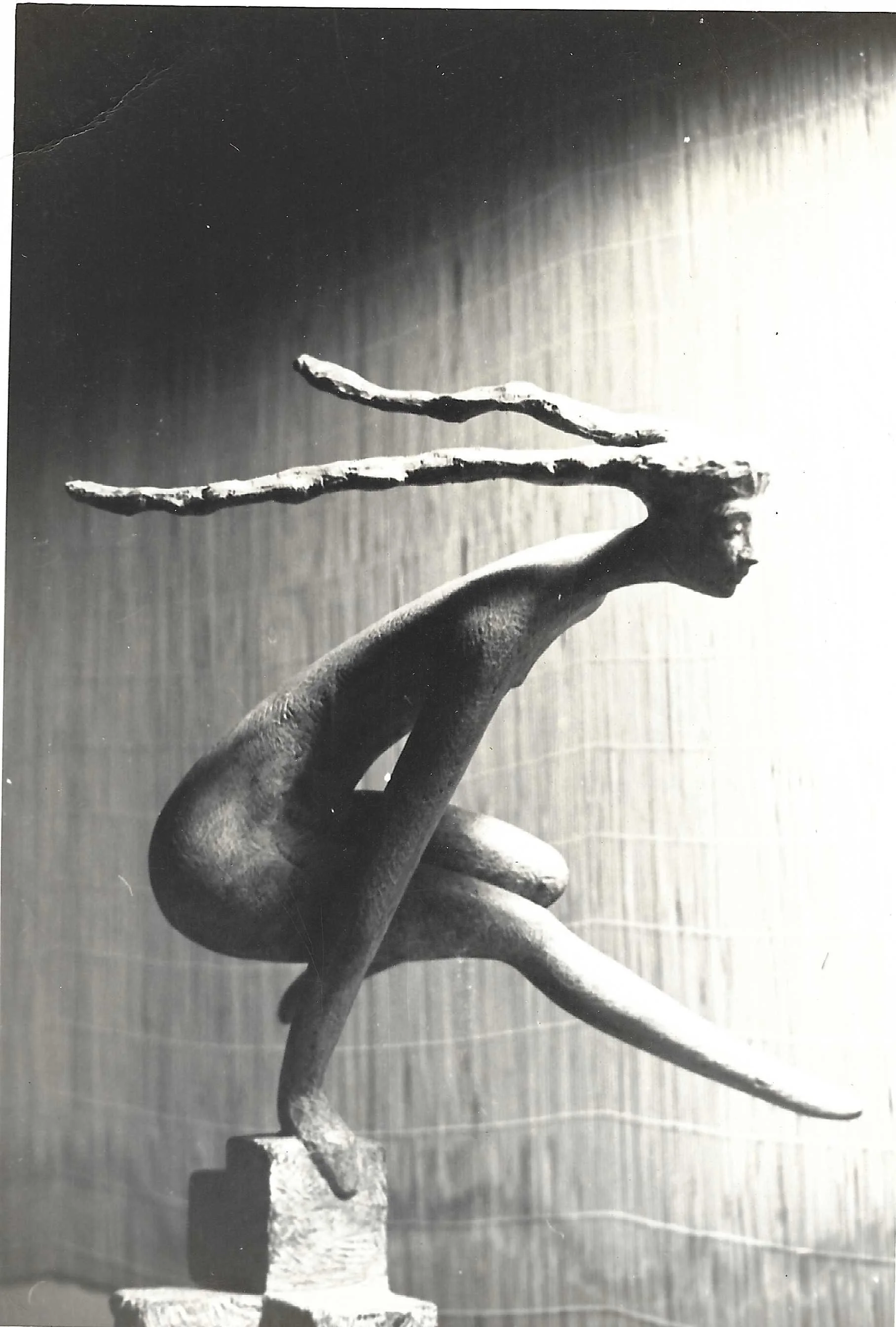 Scan 12.jpeg