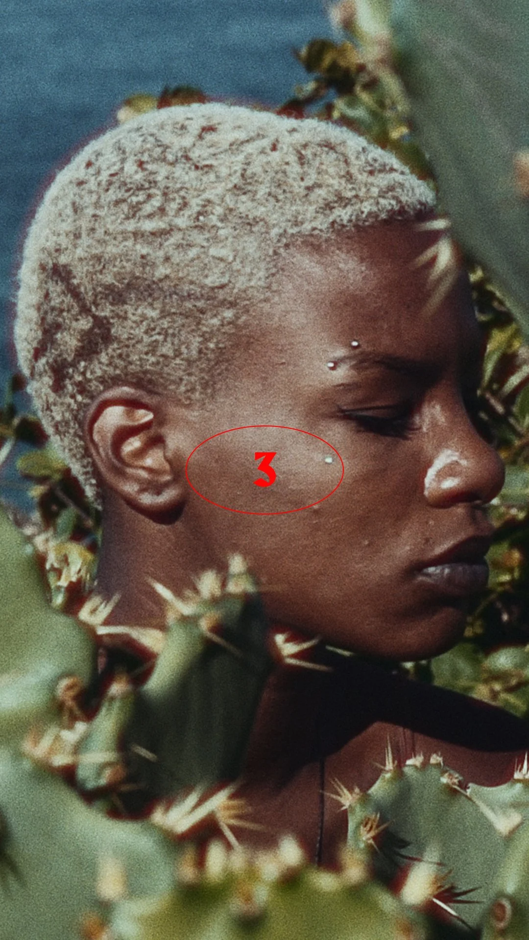 cover_reels_2.jpg