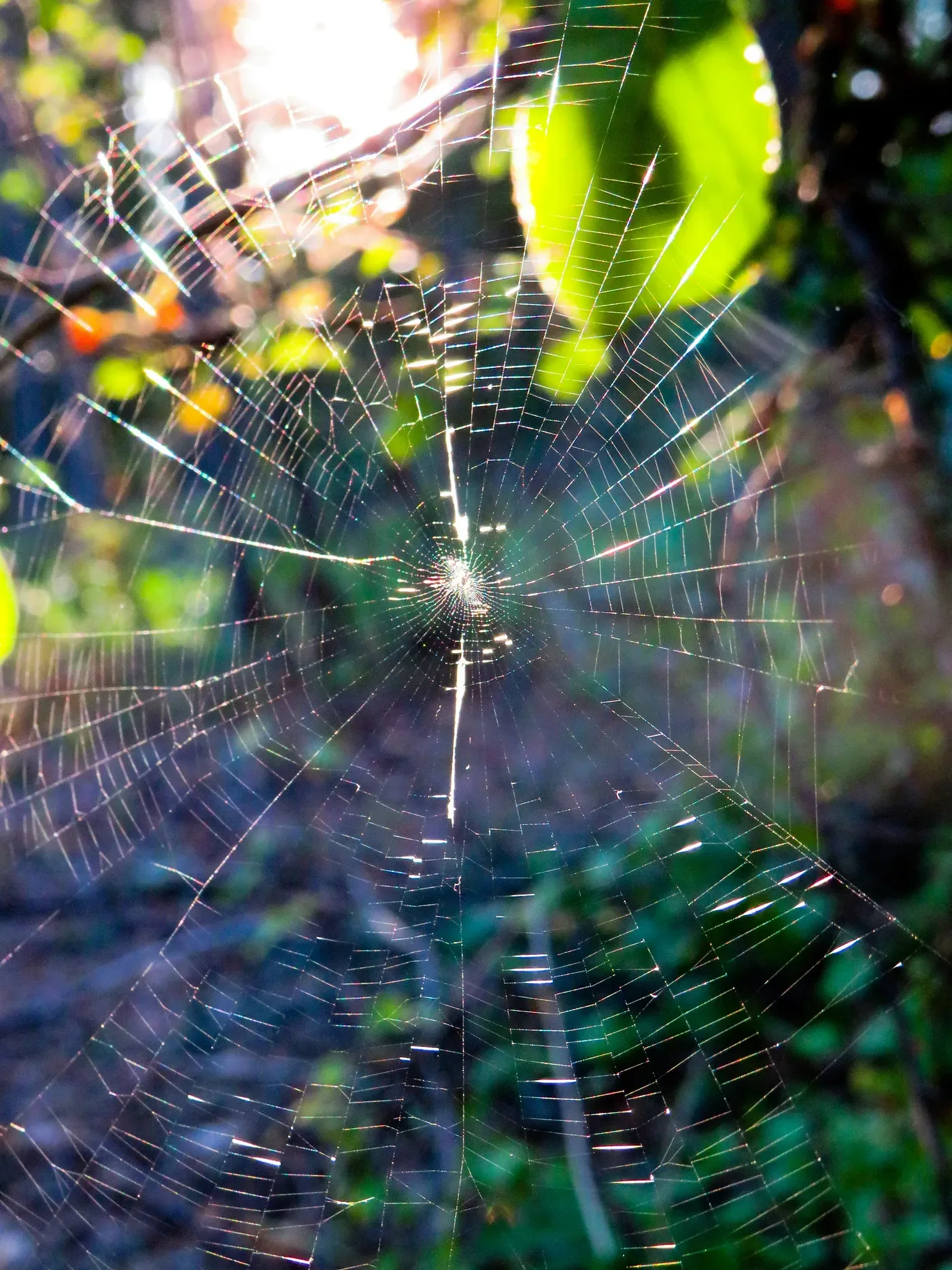 4 Lessons I Learned from ‘The Path to the Nest of Spiders’