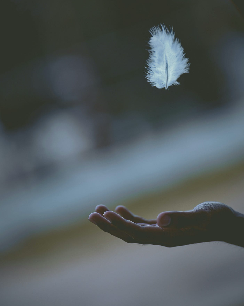 Did the Buddha Know the Way of the Parasympathetic Nervous System?