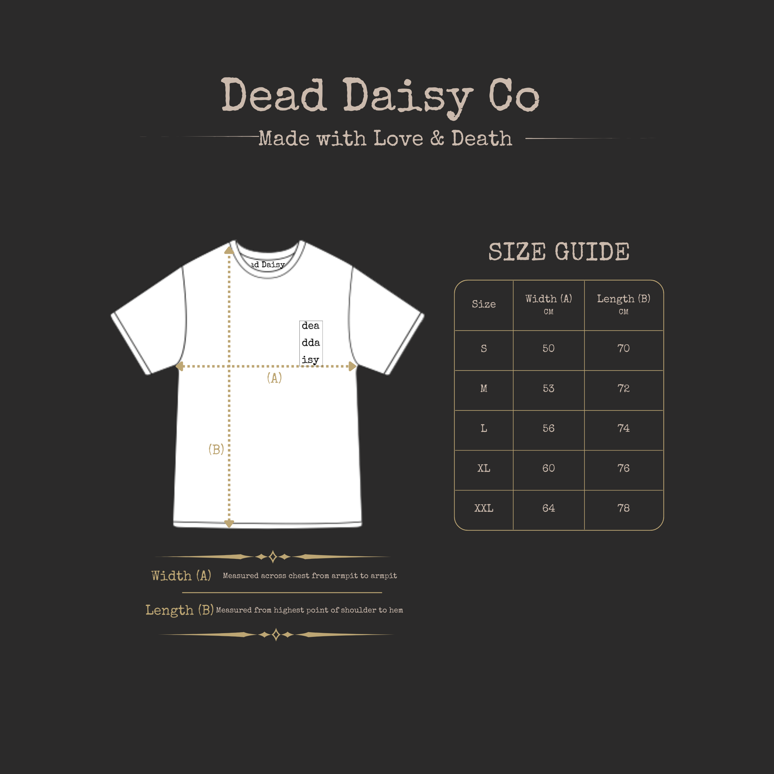 DDC Logo Sizing.png