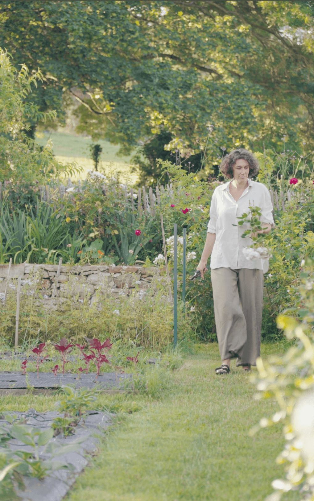 Chloé Le Berre dans le jardin de fleurs coupées des Éphémères en Anjou.