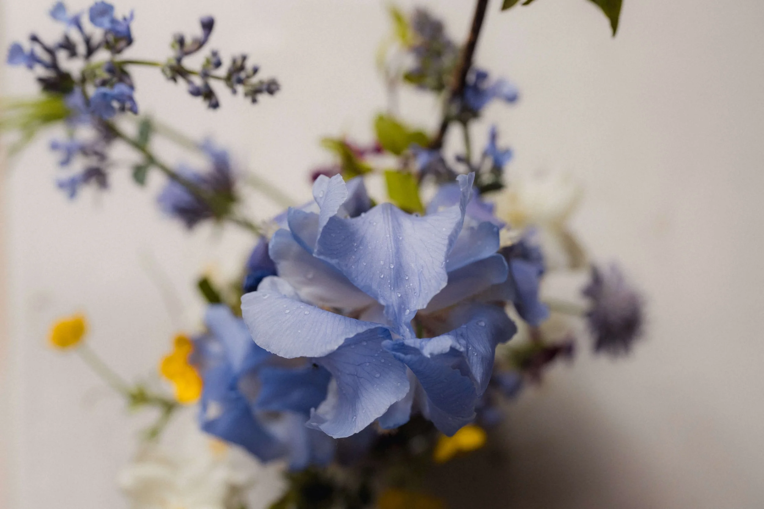 Détail d’une composition florale créative réalisée avec les fleurs du jardin.