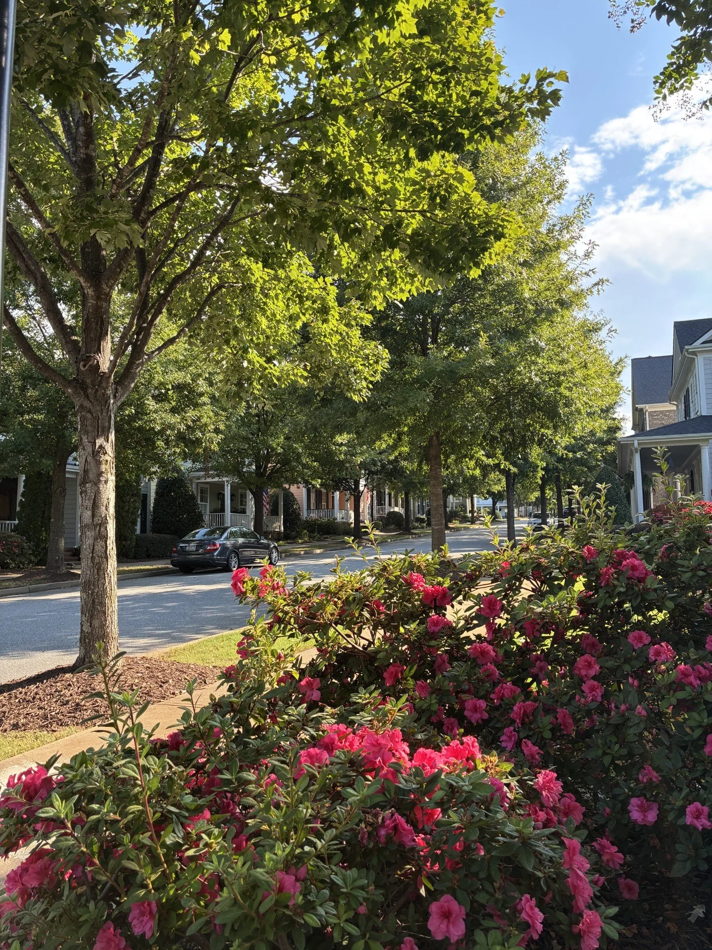 The neighborhood is a little too quiet today as school is back in session but these temperatures are reminding us that it is still very much summer in the south!
