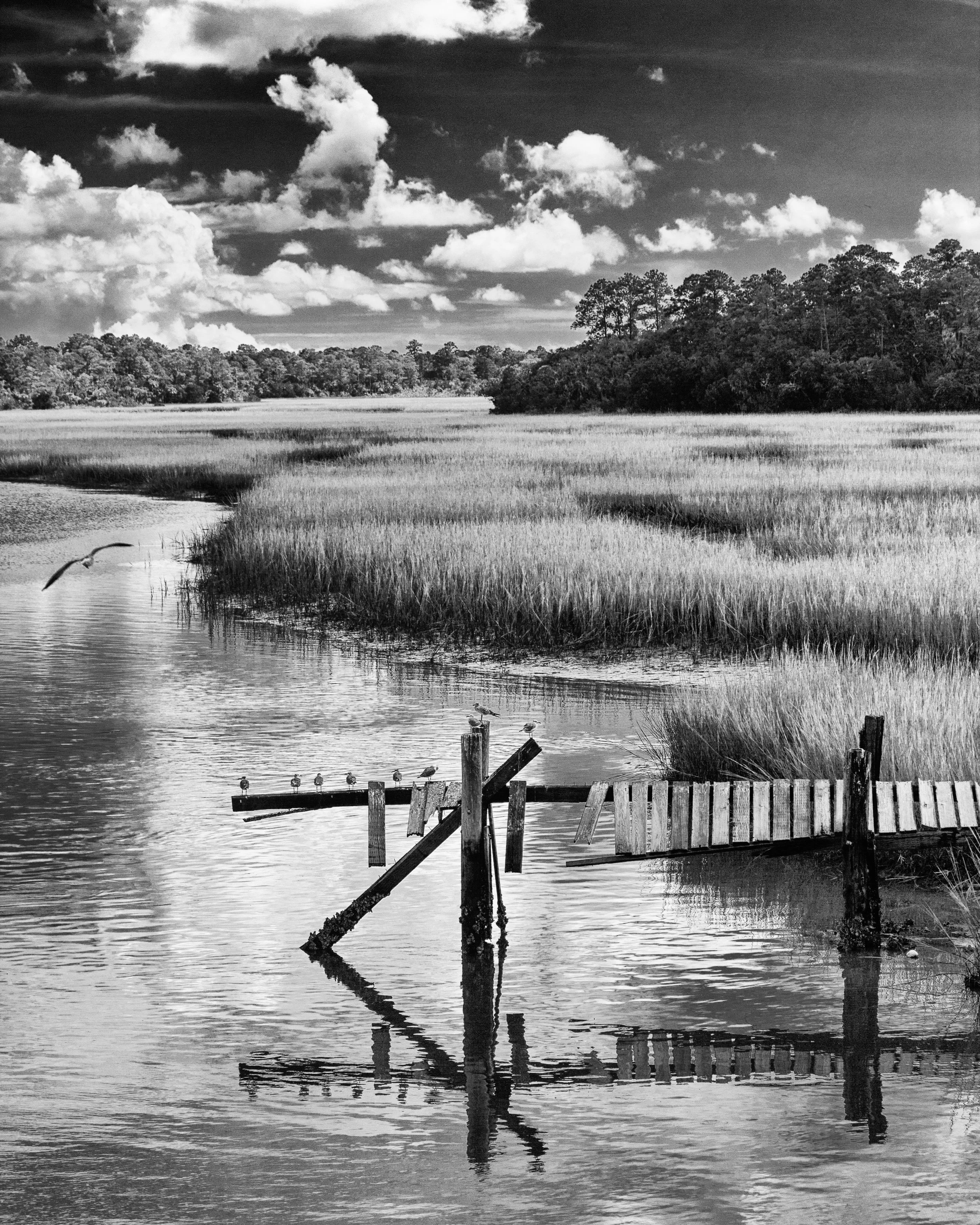 Infrared- "Wimbee Creek Reflections" Broken Dock, Birds, Clouds, Marsh. Grasses. Beaufort County, SC
