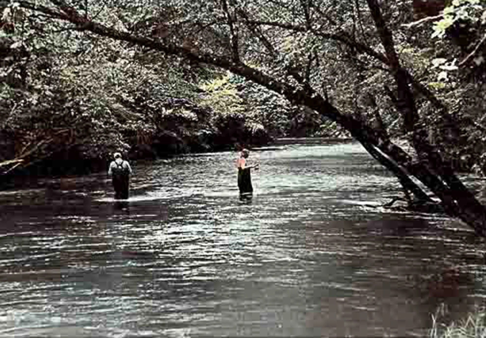 Hand-Painted- "Holly & Mauro Fishing" Stream. River. Man. Woman. Waders. GA. Oils