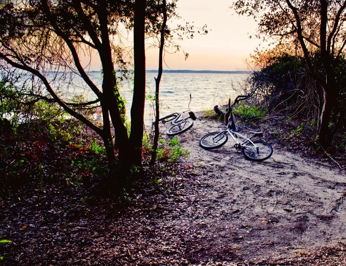 Simply Color-"Swim Buddies' Bikes at Lands End" St. Helena Island SC (Published in Beaufort County 2012 Annual Calendar in Support of Rural and Critical Lands). Water. Beach. Trees. Sunset.