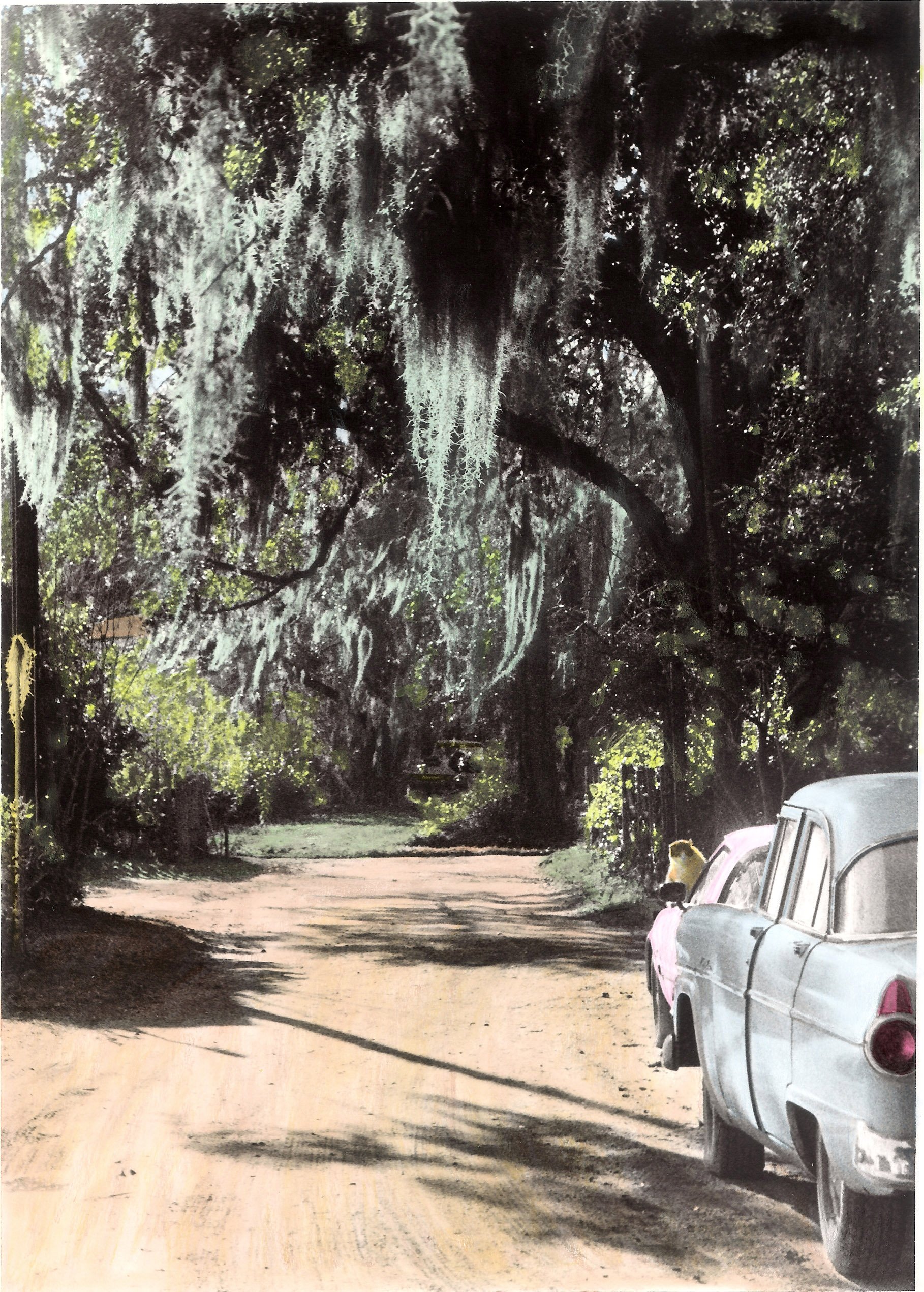 Hand-Painted-"McClellanville Nostalgia" Classic. Cars. Cat. Trees. Spanish Moss. Dirt. Road. Oils