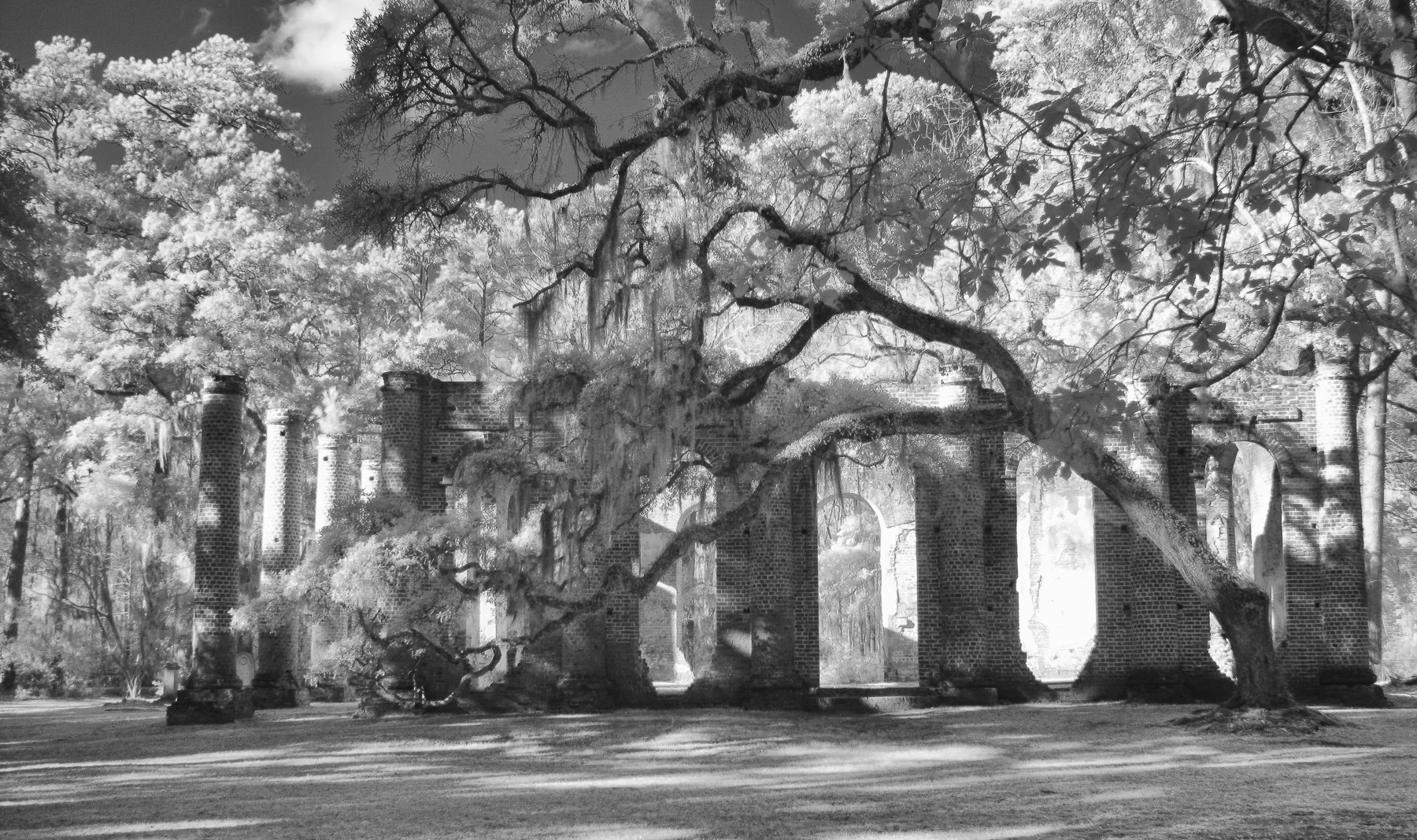 Infrared- "Soul Sanctuary" Old Sheldon Church Ruins. Trees. Brick. Tabby. Columns. Beaufort, SC