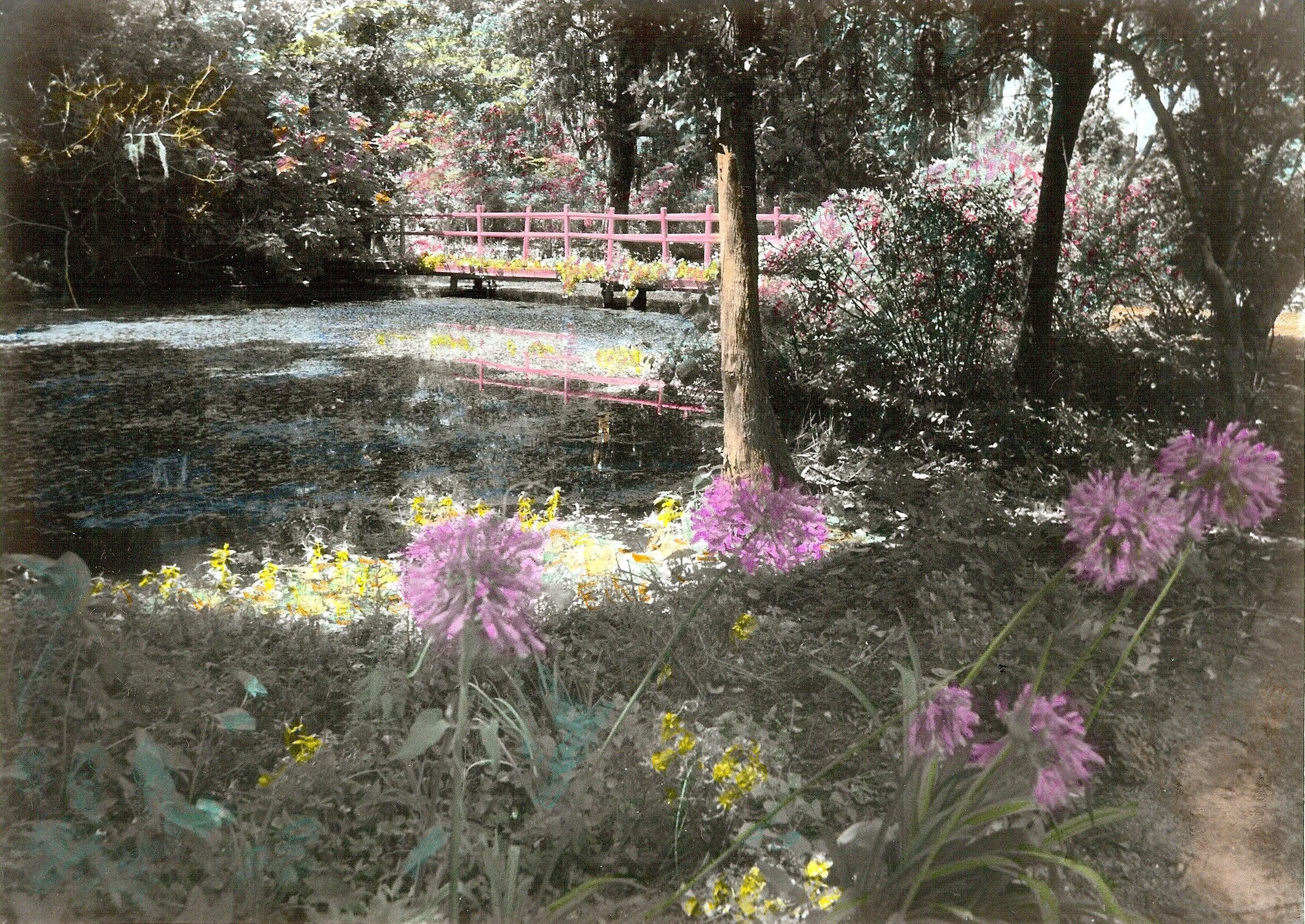 Hand-Painted-"Red Bridge Pond, Magnolia Plantation & Gardens" Homage to Wallace Nutting. Flowers. Trees. Water. Pond. Oils