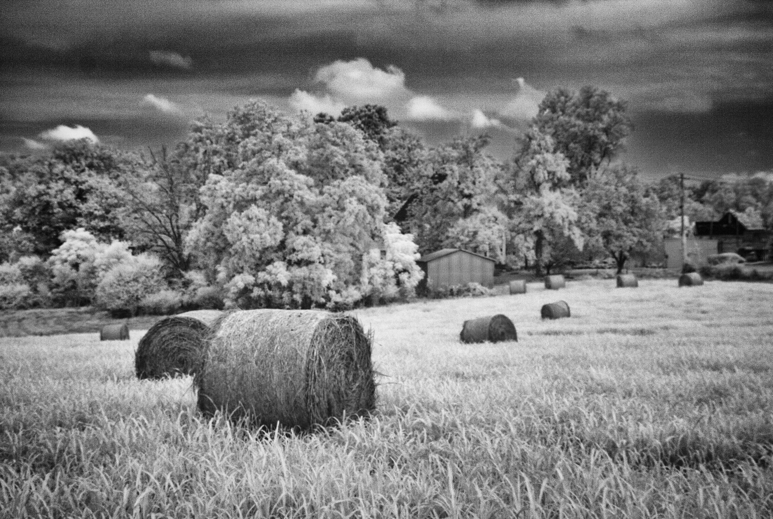 Infrared- "Hay Bales, Red Hollow Road" Field. Trees. Clouds. GA