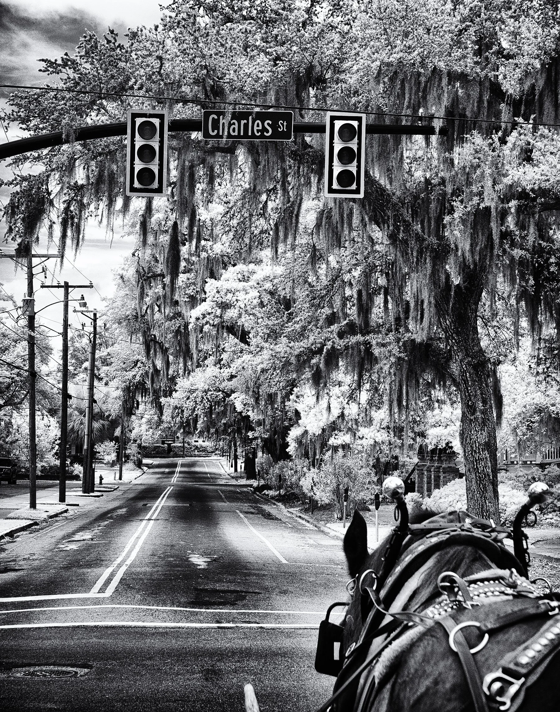Infrared- "Crossing Charles" Horse Carriage Ride. Street Lights. Sign. Downtown Beaufort, SC