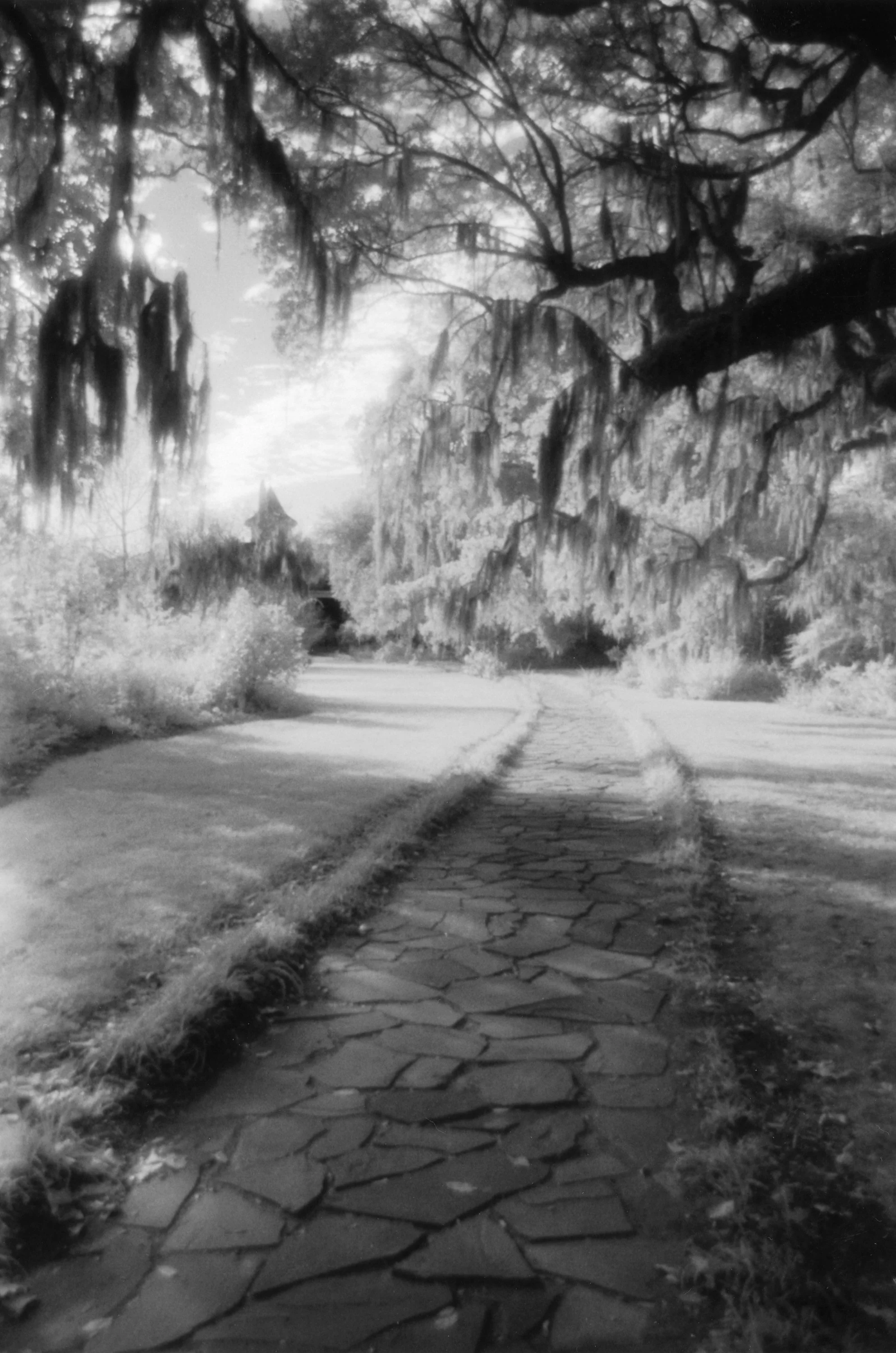 Infrared- "View From the River" Magnolia Plantations & Gardens. Path. Stones. Lawn. House. Trees. Clouds. Charleston SC 