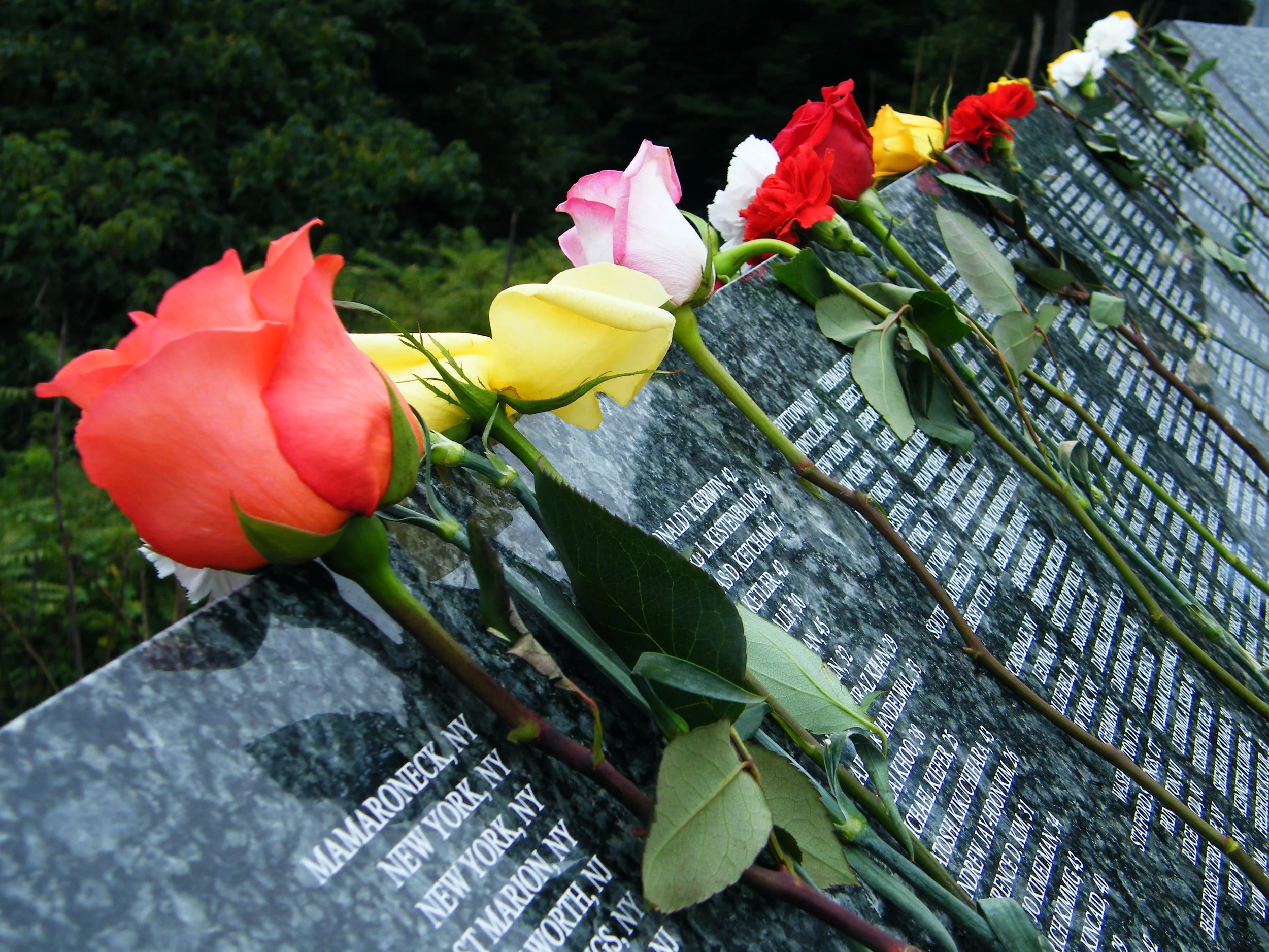 Simply Color-"September 11th Memorial" Eagle Rock Reservation West Orange NJ. Roses. Granite. Black. Names.
