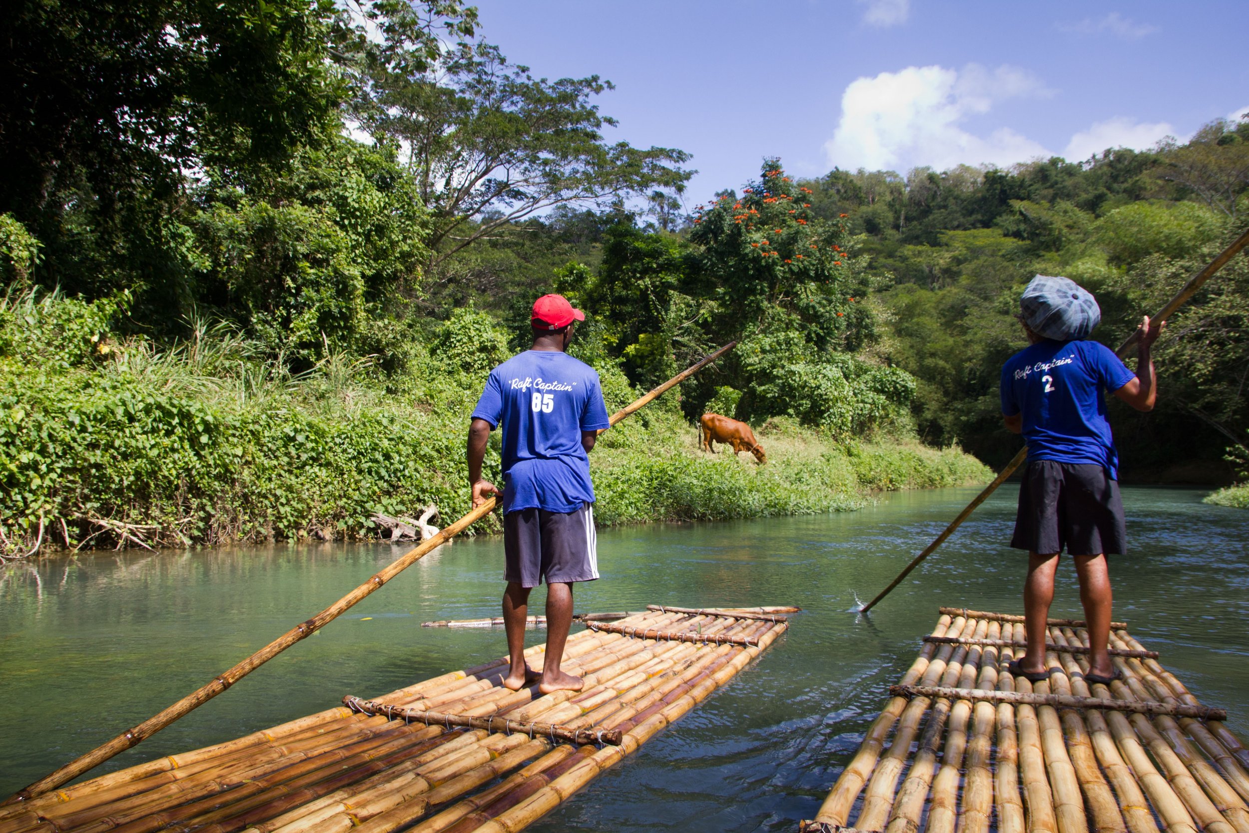Simply Color- "Raft Captains & Cow" River. Hats, Blue. Cloud. Jamaica
