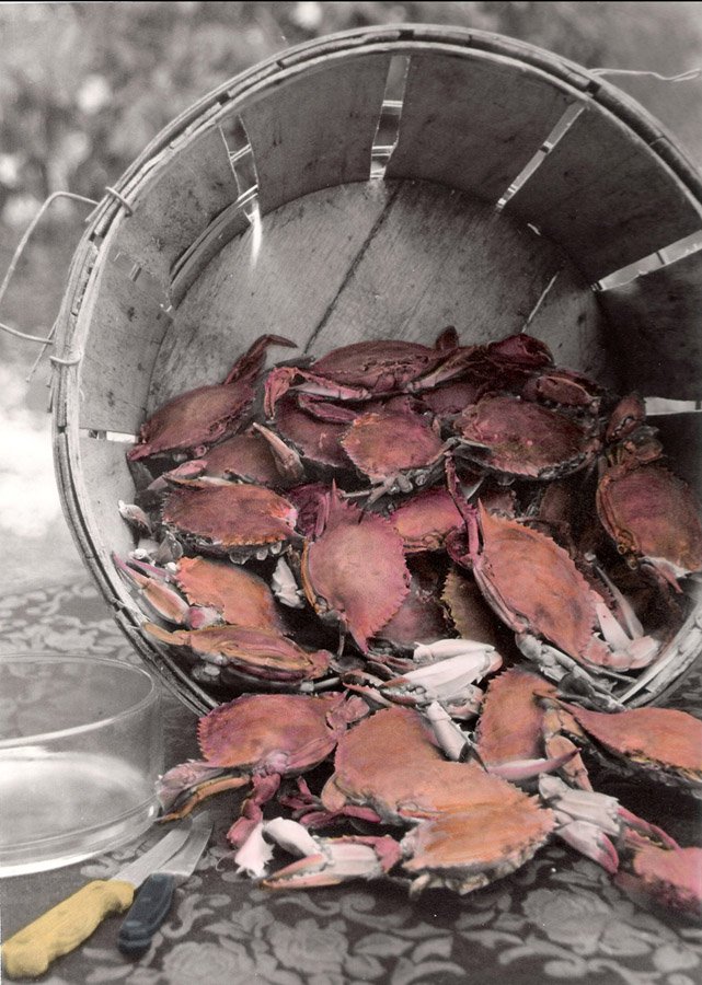 Hand-Painted-"Sallie's Daufuskie Crabs" Basket. Gullah. Food. SC, Oils
Photo appears in monochrome in Sallie Ann Robinson's Cooking the Gullah Way: Morning, Noon & Night, UNC Press.