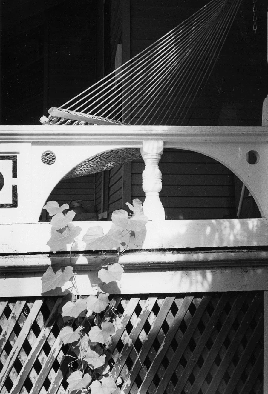 Classic B&W: "Newport Hammock" Lattice. Aches. Railing. White. Vine. RI
