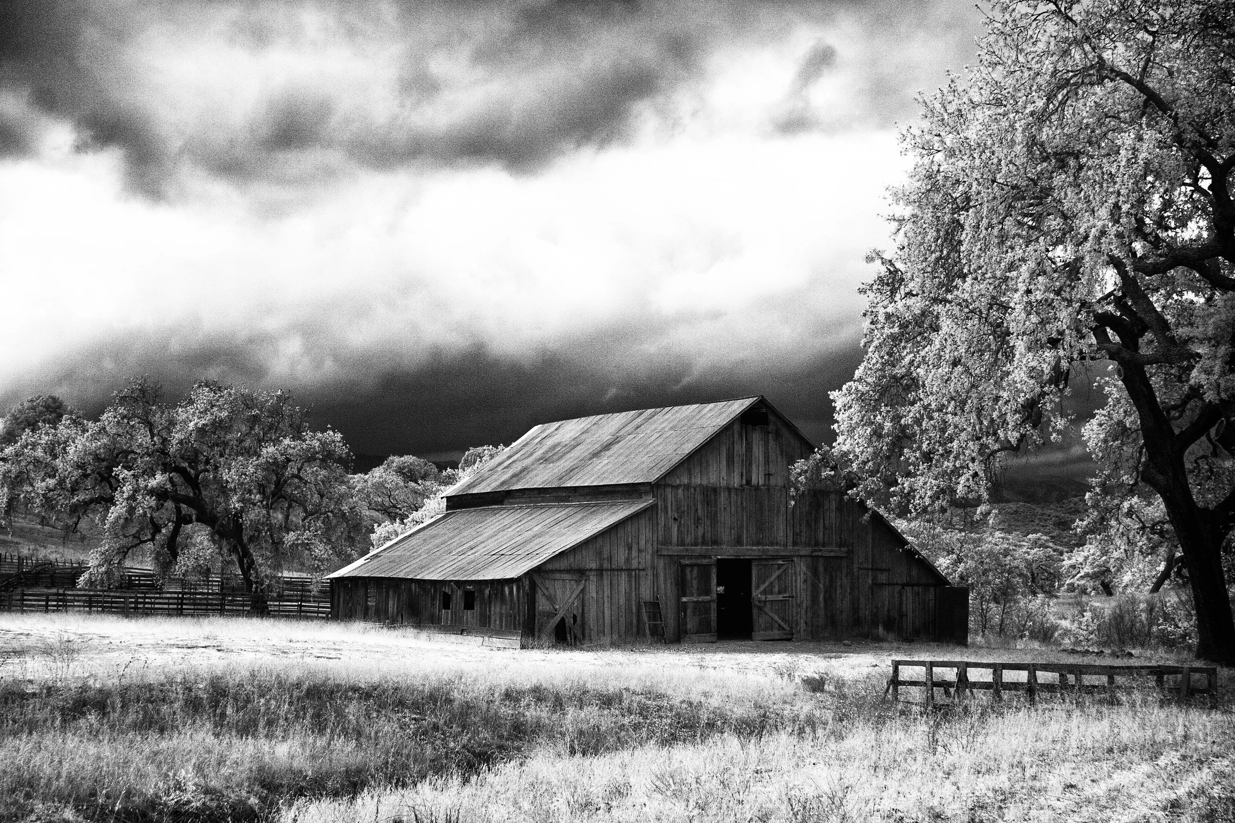 Infrared-"Land" Barn in Santa Barbara Wine Country. Field. Clouds. Trees. Fence. Santa Barbara County, CA