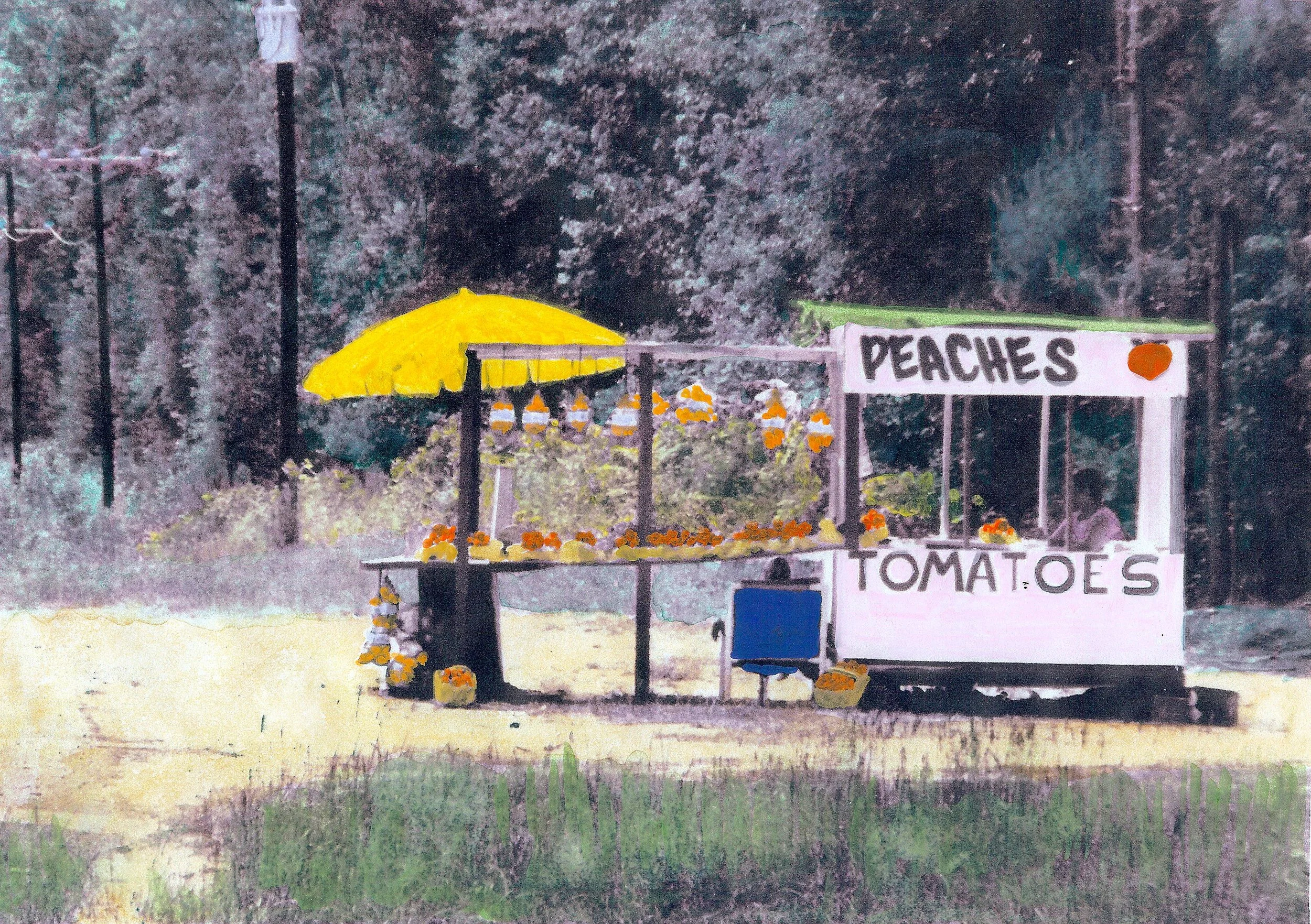 Hand-Painted- "Peach Stand Beaufort County SC, Umbrella. Yellow. Onions. Bags. Woman. Chair. Acrylics and Oils