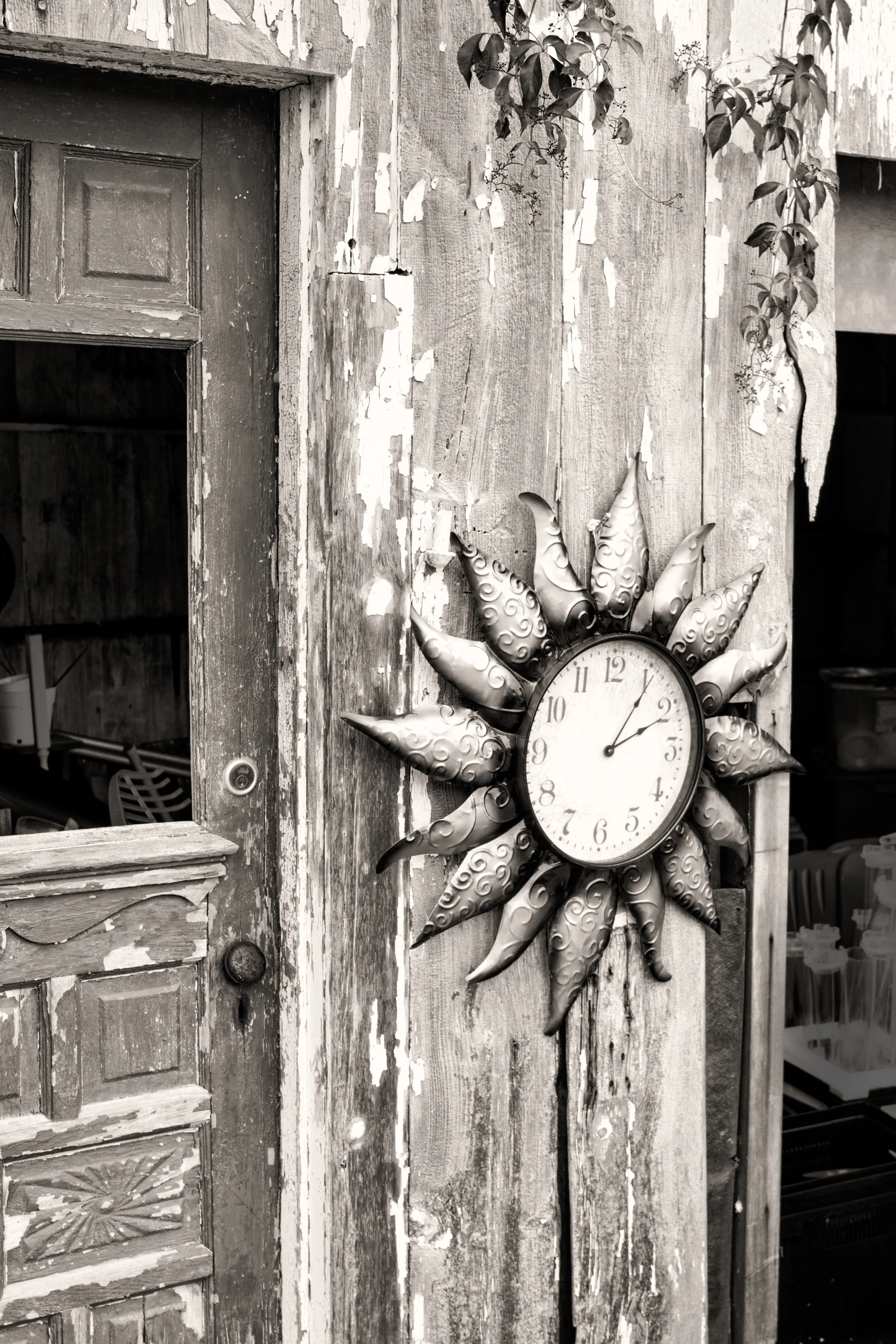 Classic B&W: "Time" Antique. Clock. Sunflower. Metal. Barn. Door. Sepia. Southern NJ