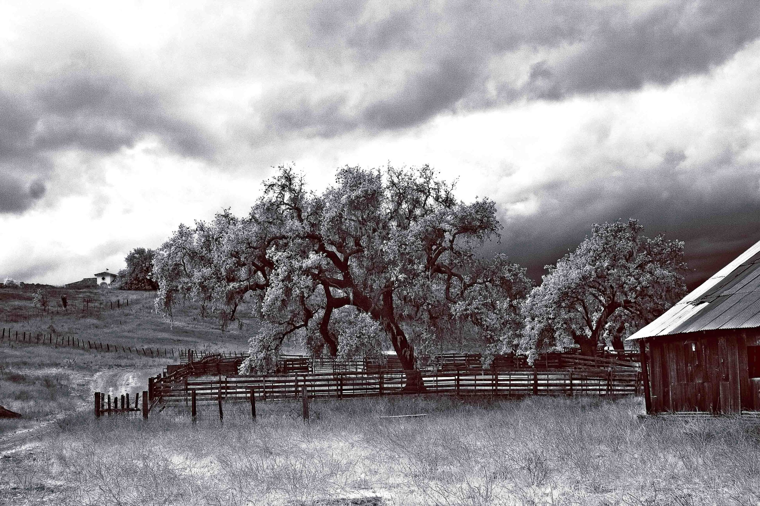 Infrared- 'Wine Country" Trees. Fence. Split Rail. Barn. Field. Clouds. Santa Barbara County, CA